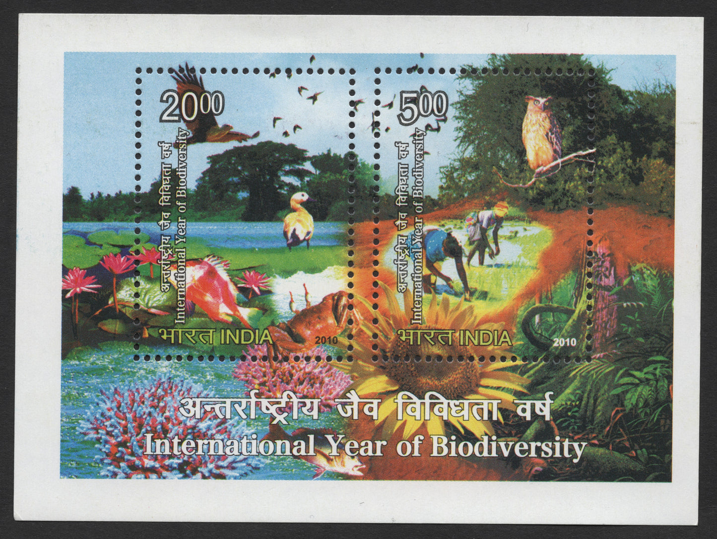 SCG446 - India 2010 International Year of Biodiversity Miniature Sheet