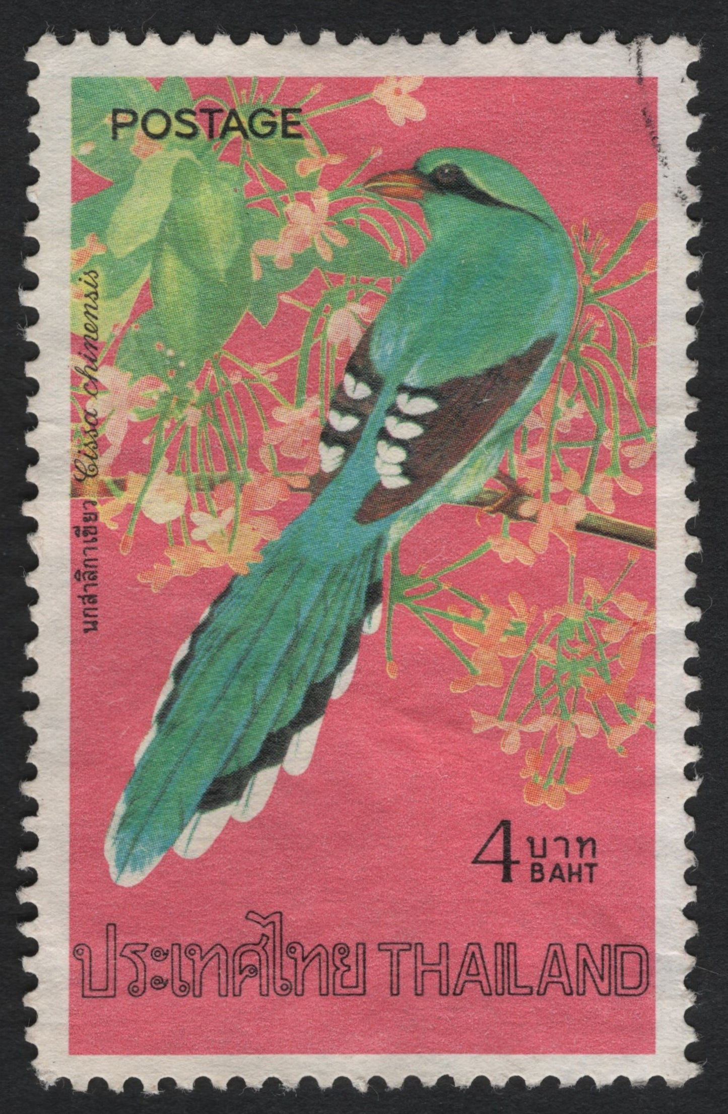 SCG9842 - 🇹🇠Thailand – 4 Baht “Common Green Magpie” (Cissa chinensis) – Bird Definitive