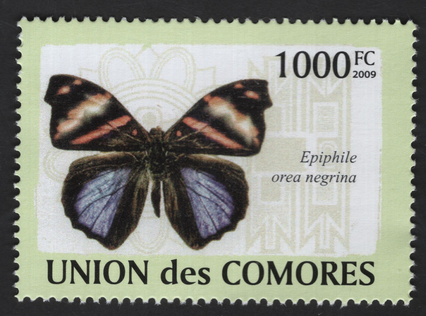 SCG13239 - Comoros 2009 – Epiphile orea negrina Butterfly Stamp (1000 FC)