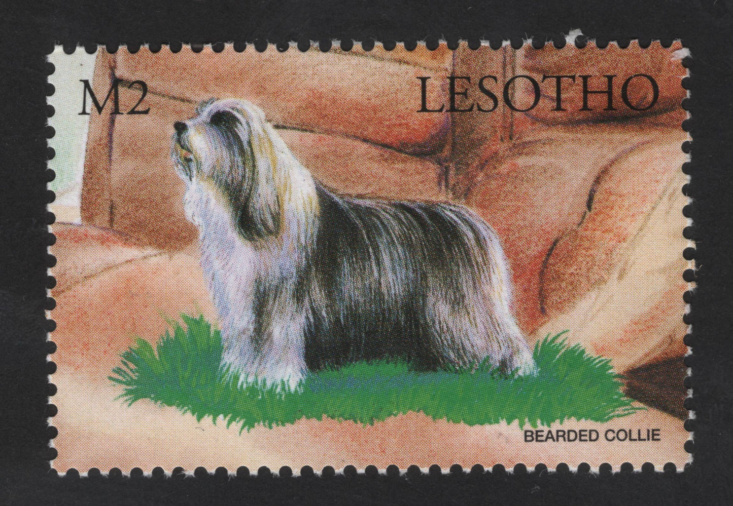 SCG13245 - Bearded Collie – Lesotho Dog Breed Stamp (M2)