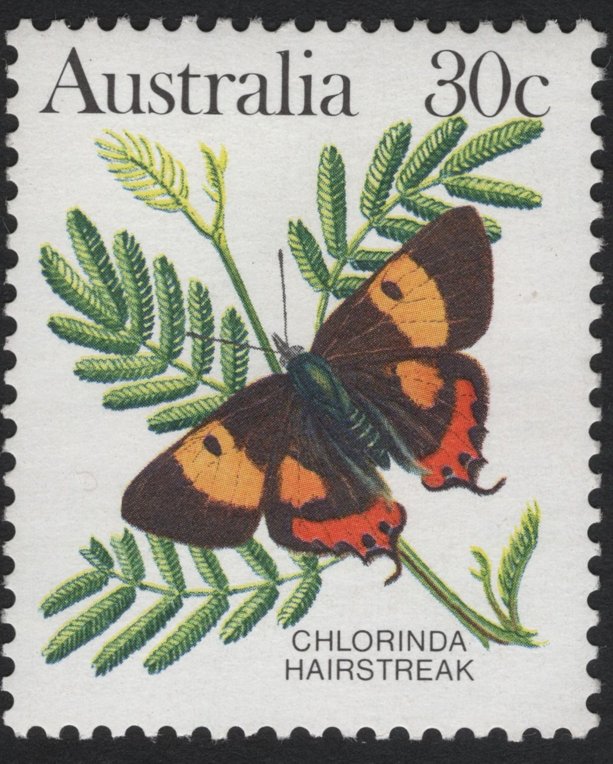 SCG11118 - Australia – 30c Chlorinda Hairstreak Butterfly (Lepidoptera Series)