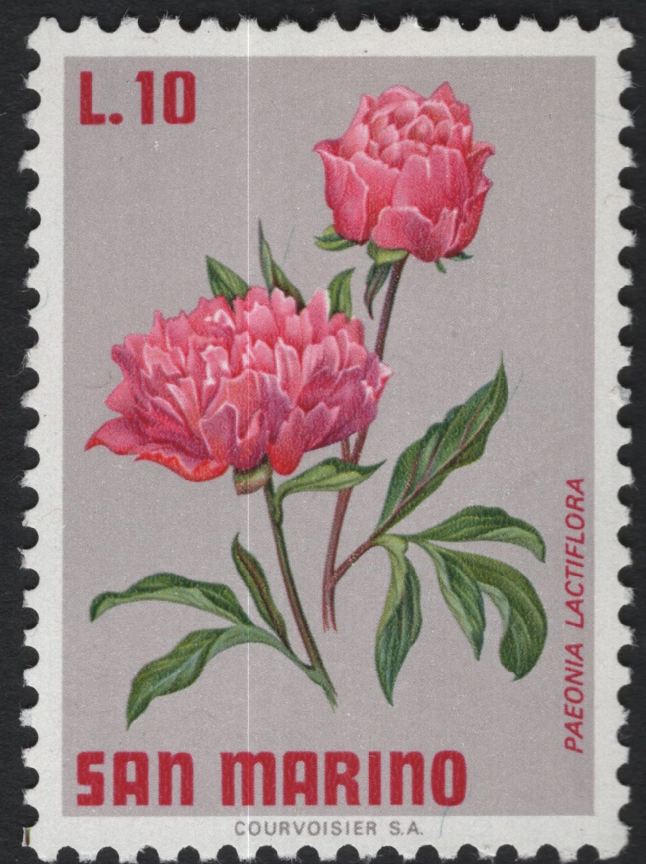 SCG10972 - San Marino – Native Alpine & Meadow Flowers Definitive Set (6 Values)