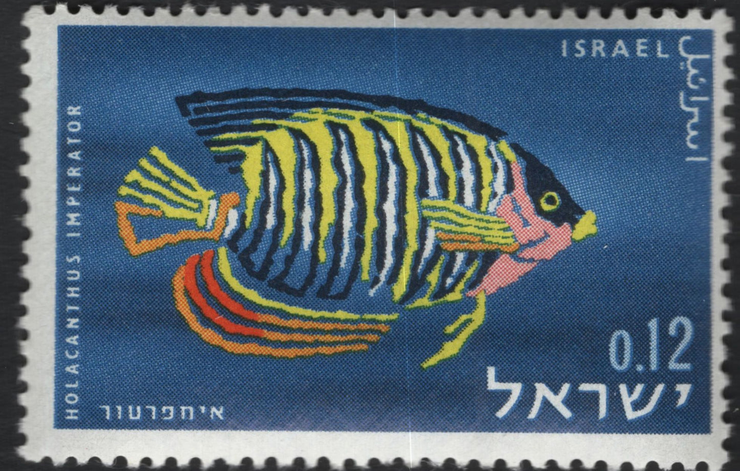 SCG11082 - Israel Tropical Fish Series – Coral Reef Species (Set of 4)