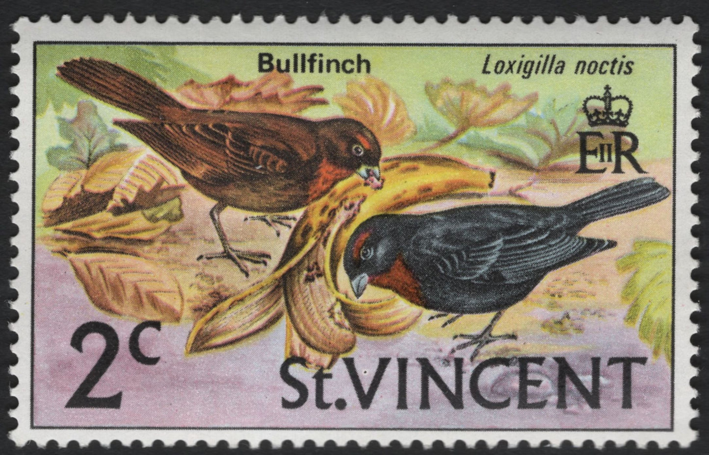 SCG11089 - St. Vincent – Native & Exotic Birds Pictorials (Green Heron, St. Vincent Parrot, Bullfinch)