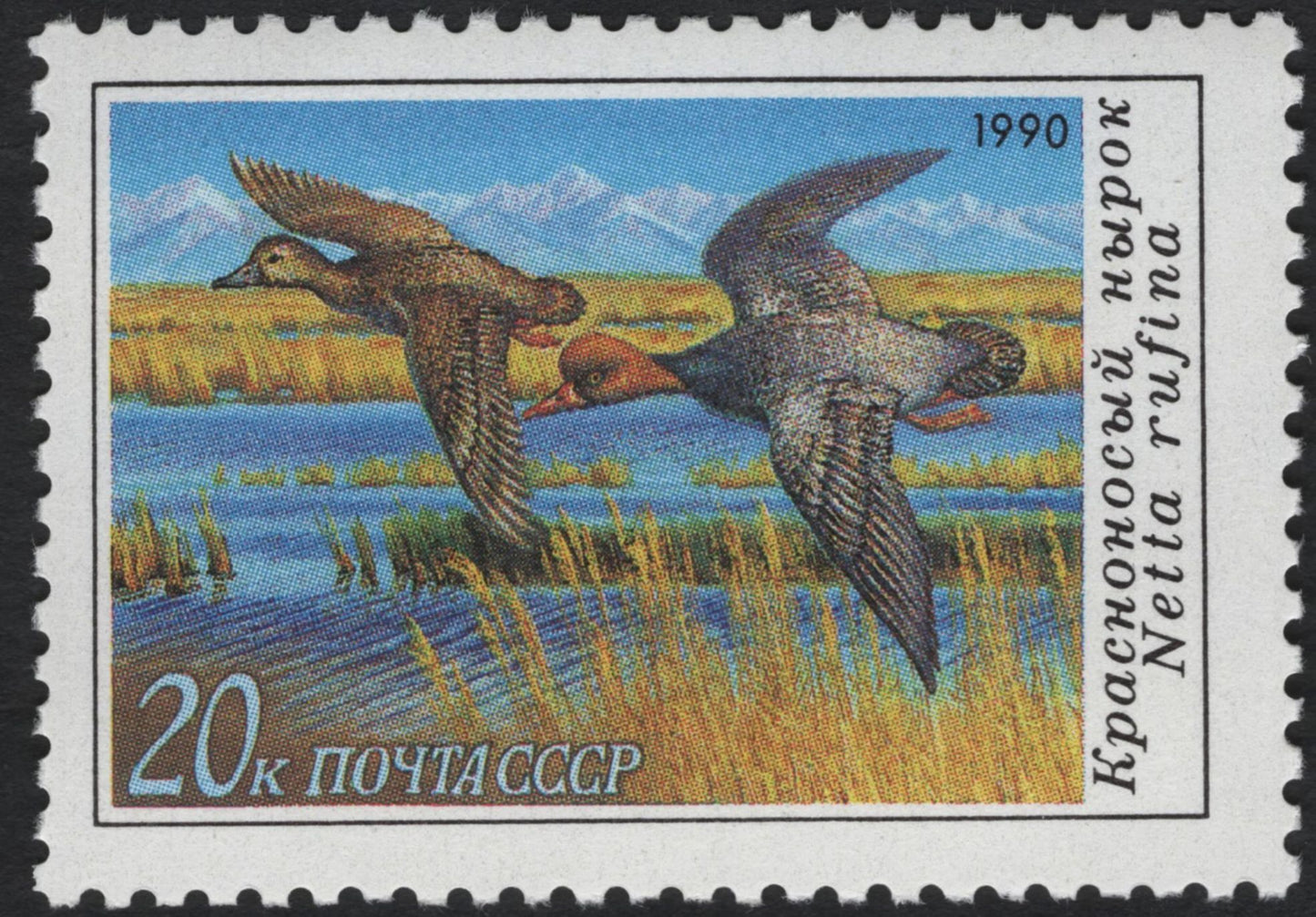 SCG11202 - USSR 1990 Wild Ducks & Waterfowl – Nature Conservation Commemorative Set
