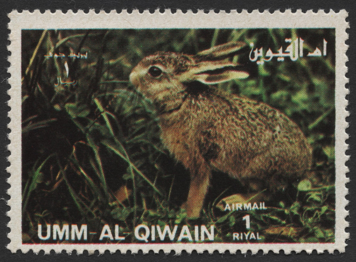 SCG440 - Umm Al-Qiwain Airmail Rabbit Stamp (1 Riyal)