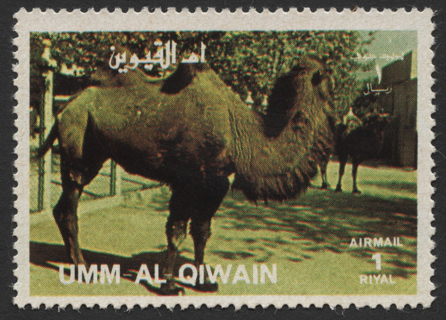 SCG436 - Umm Al Qiwain Airmail Stamp — Proud Camel in the Sunlight