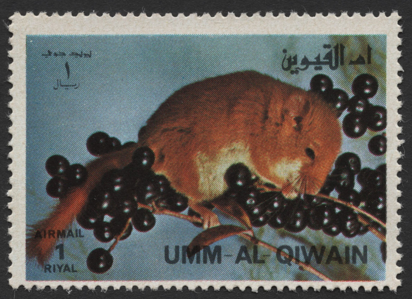 SCG432 - Umm Al Qiwain Airmail Wildlife Stamps — Squirrel and Dormouse Set