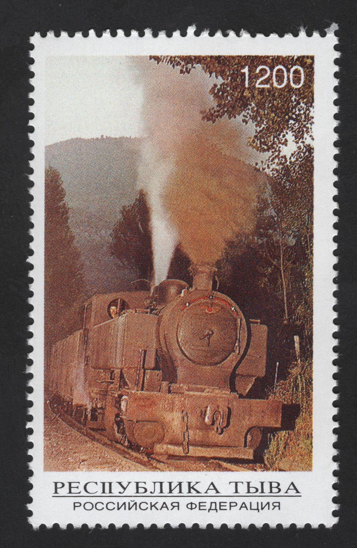 SCG13370 - Tuva (Russia) 1200r Steam Locomotive Railway Stamp