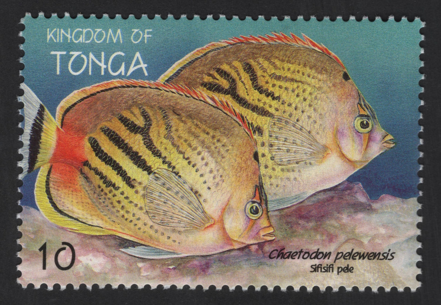 SCG13364 - Tonga 1d Butterflyfish – Chaetodon pelewensis Marine Life Stamp