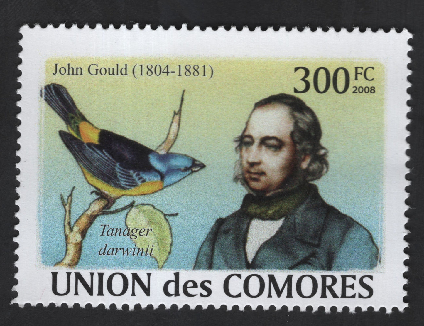 SCG13395 - John Gould & Tanager darwinii – 300 FC (2008), Comoros