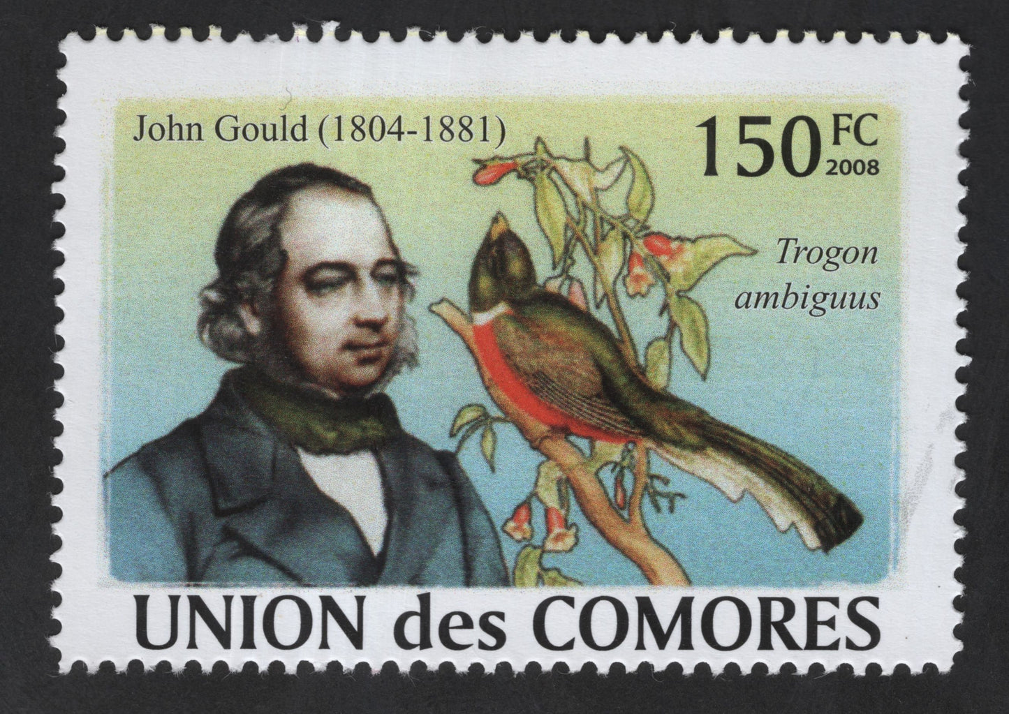 SCG13387 - John Gould & Trogon ambiguus Bird – Comoros 150 FC Stamp (2008)