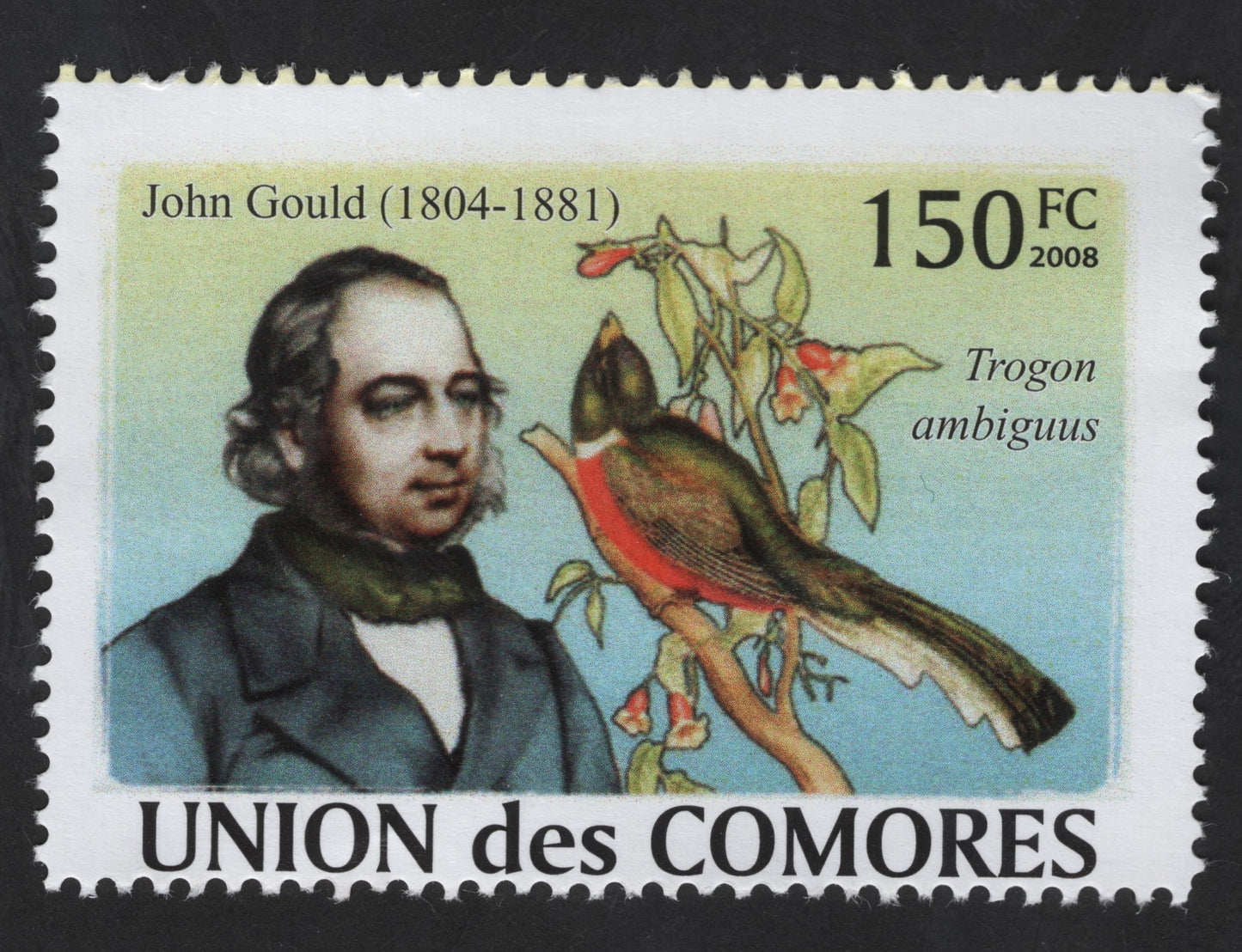 SCG13450 - Comoros 2008 – John Gould (1804–1881) & Trogon ambiguus Bird Stamp – 150 FC