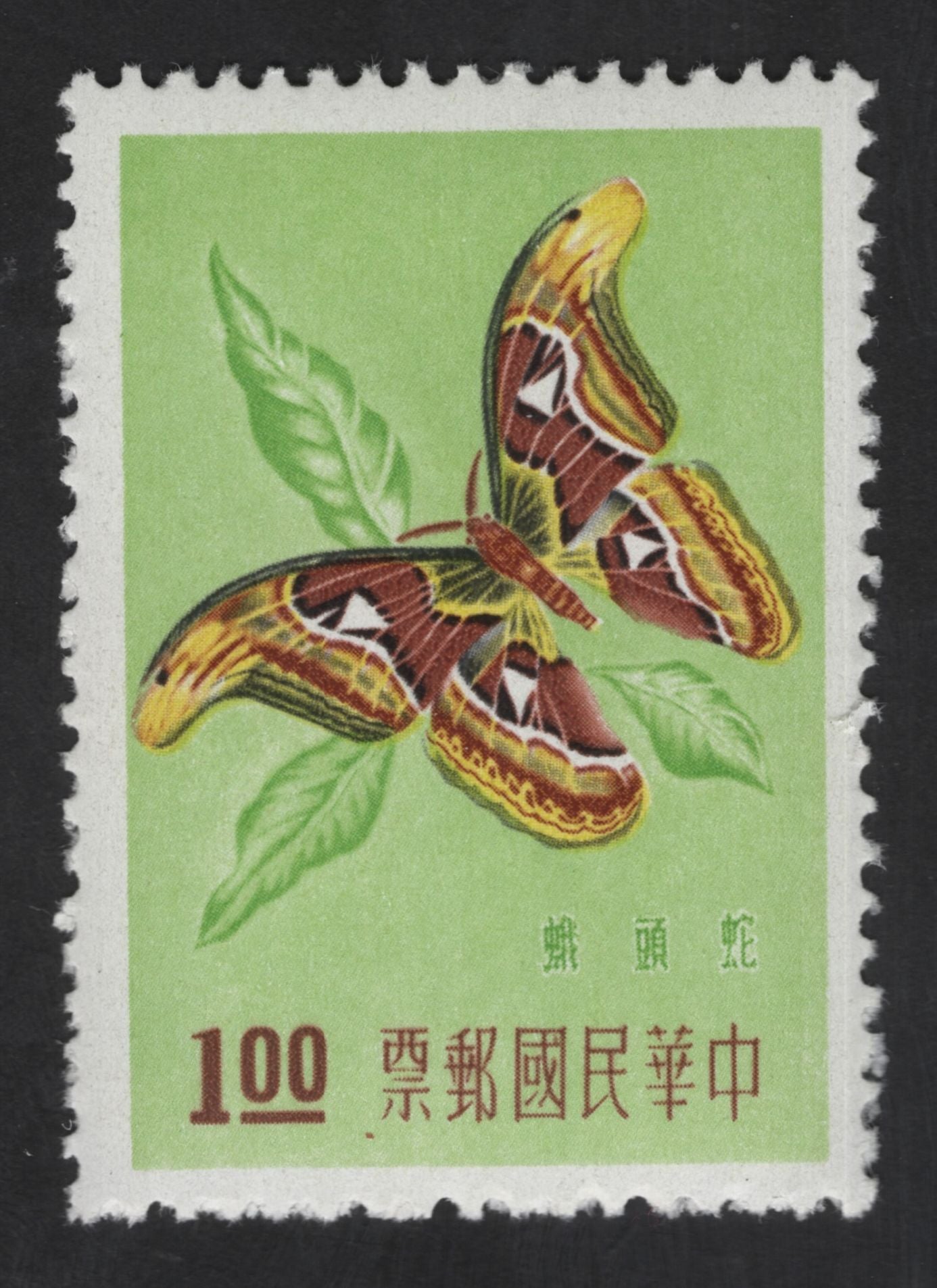 SCG13466 - Atlas Moth – 100 Fen Insect Stamp