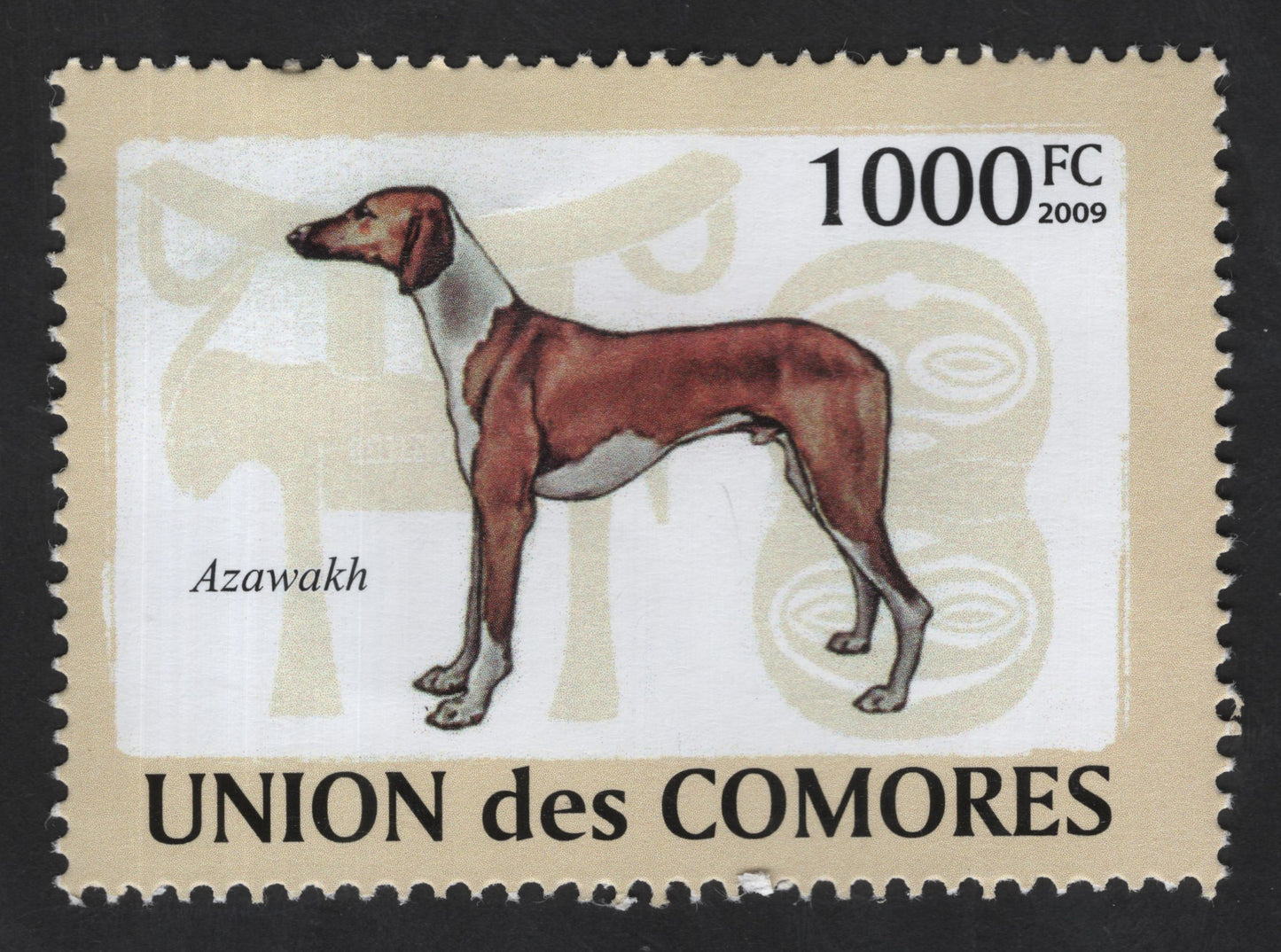 SCG13505 - Azawakh Dog Breed Stamp – Comoros 2009 (1000 FC)