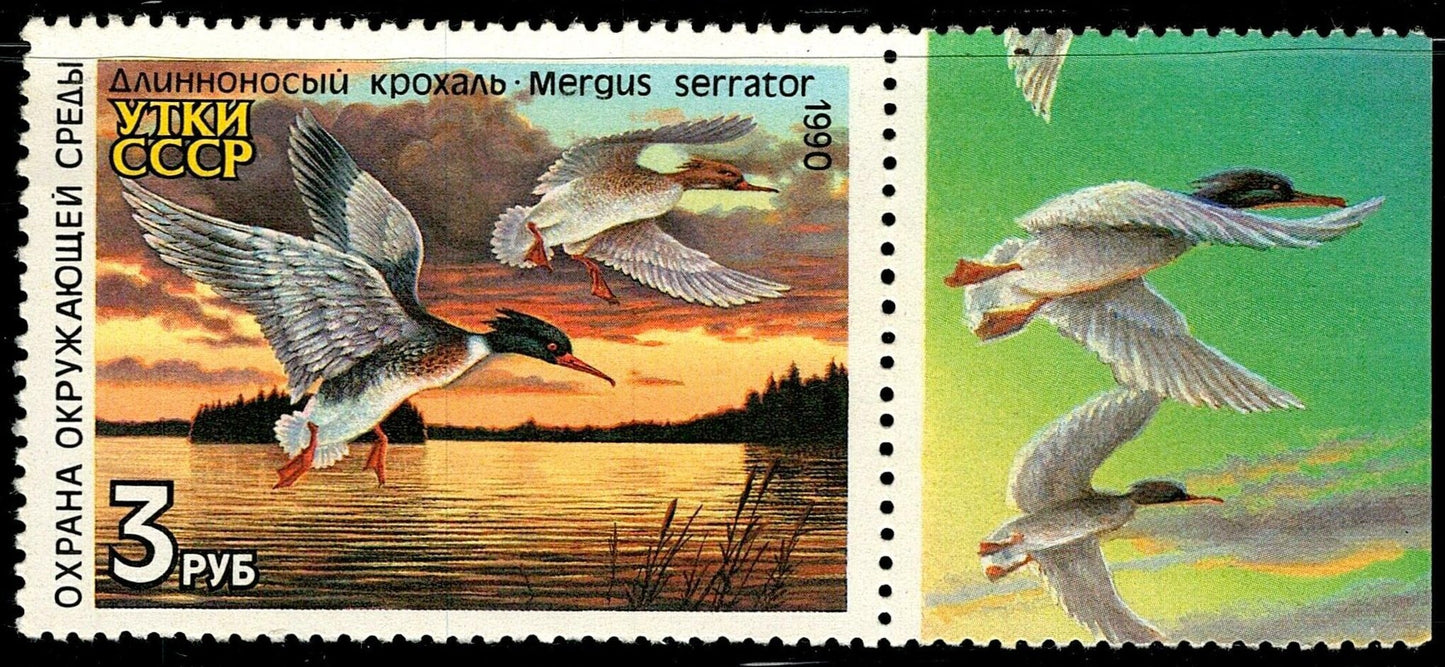 SCG6887 - USSR 1990 “Red-breasted Merganser (Mergus serrator)”
