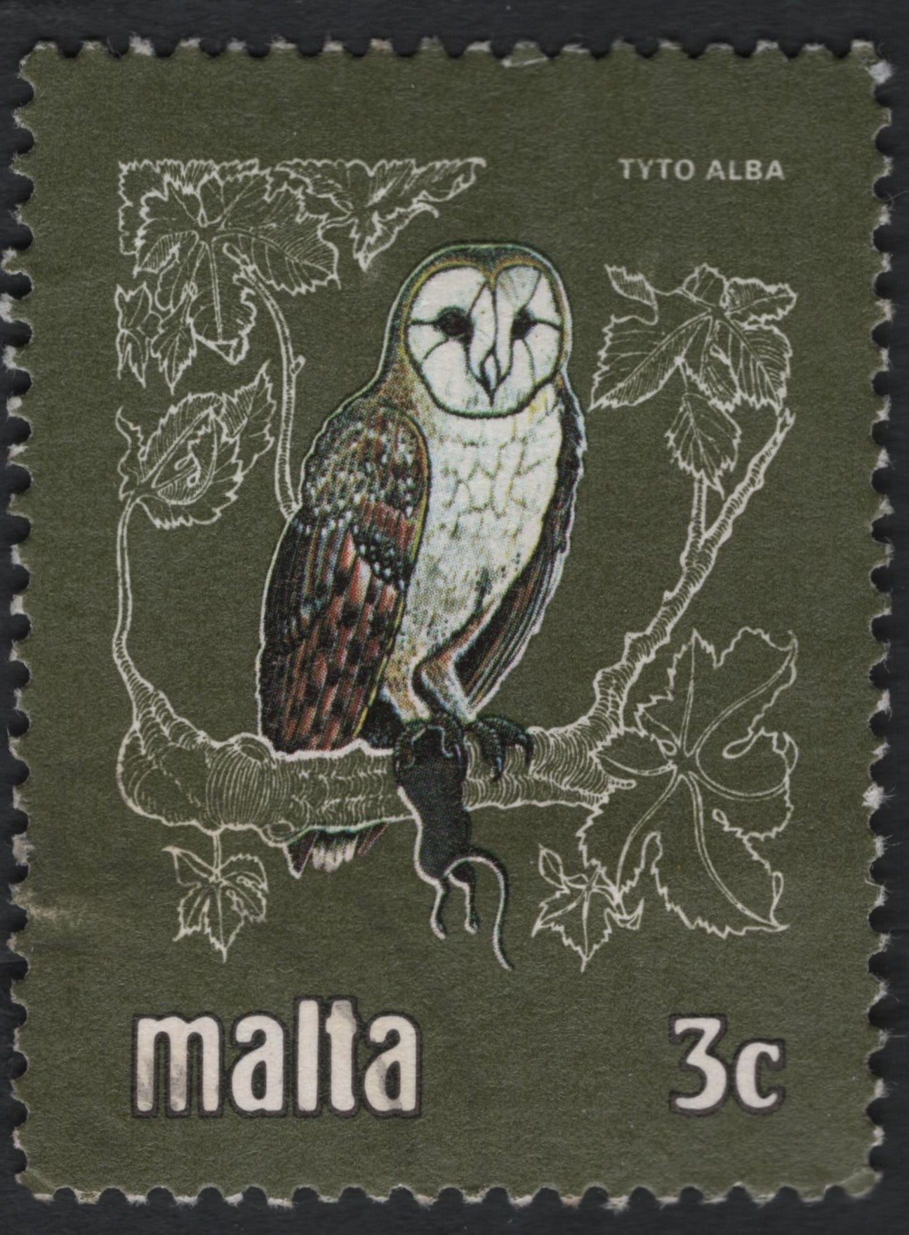 SCG7491 - Philatelic Entry – Malta 3c “Barn Owl (Tyto alba)”