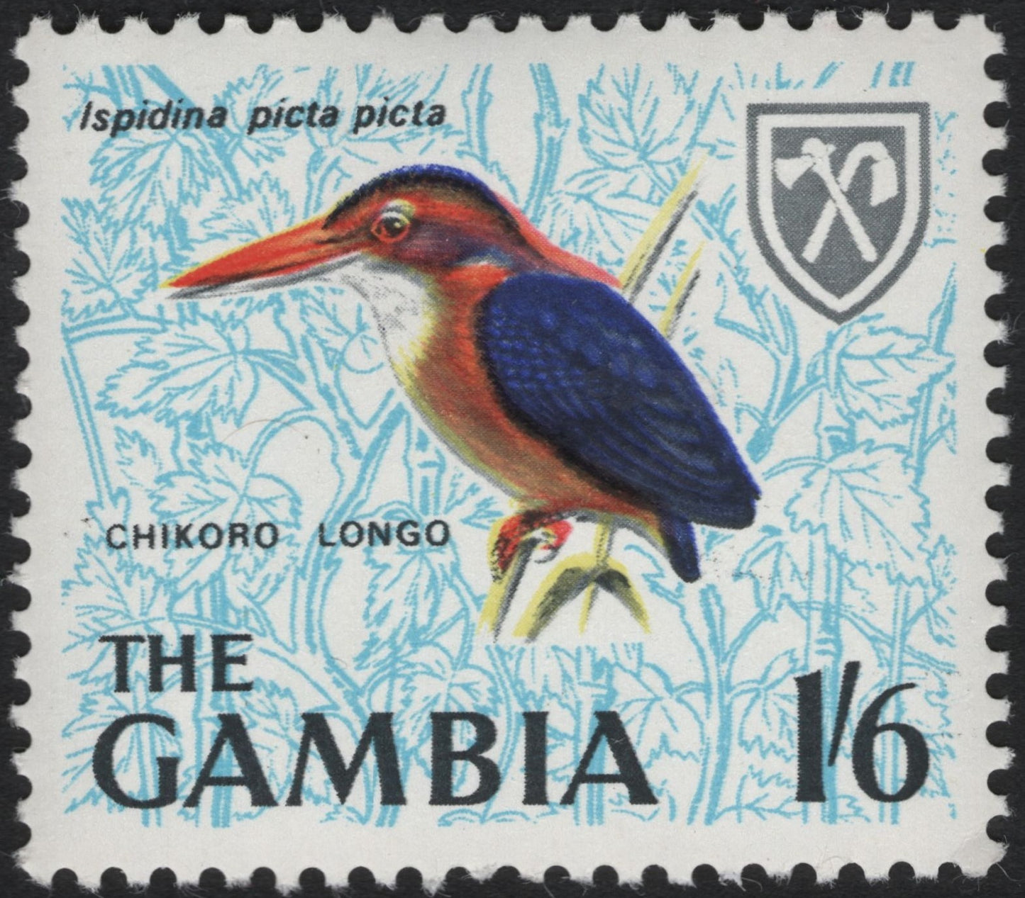 SCG11043 - The Gambia – Malachite Kingfisher (Chikoro Longo) Bird Definitive, 1/6