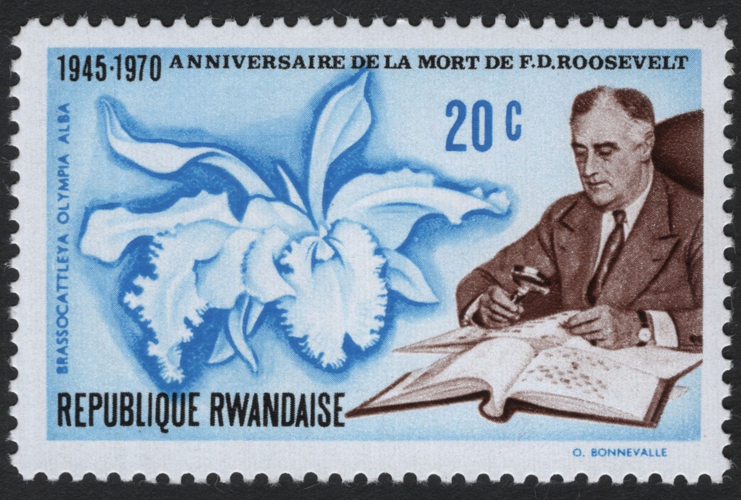 SCG7532 - 25th Anniversary of the Death of Franklin D. Roosevelt – Brassocattleya Olympia Alba
