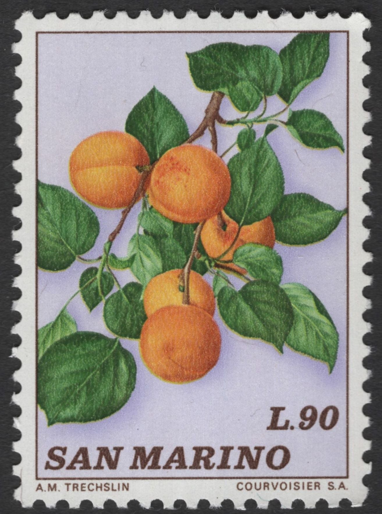 SCG11942 - San Marino Botanical Fruits – Pear & Apricot Pair