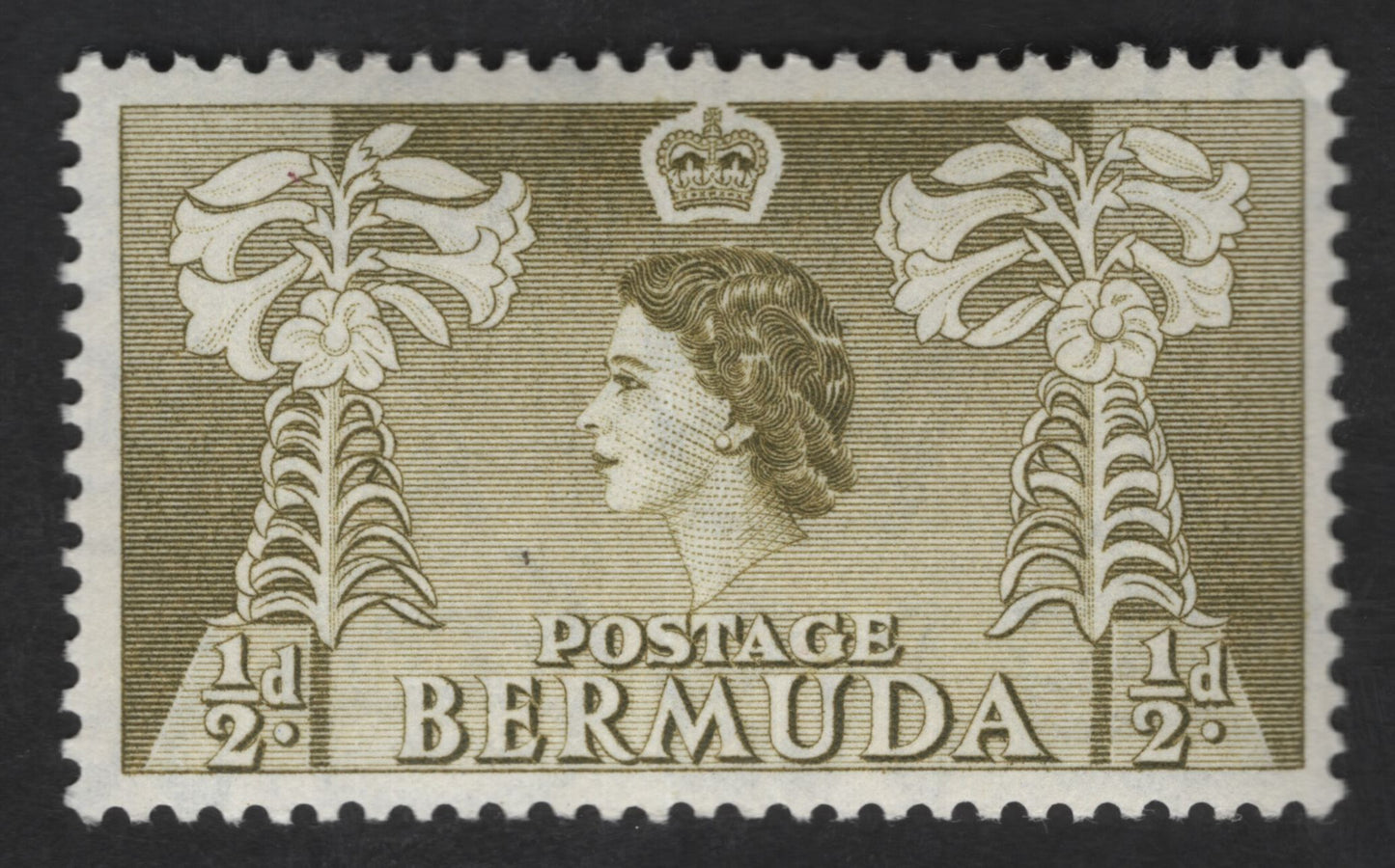 SCG12715 - Bermuda ½d Queen Elizabeth II Definitive – Bermudiana Frame Issue
