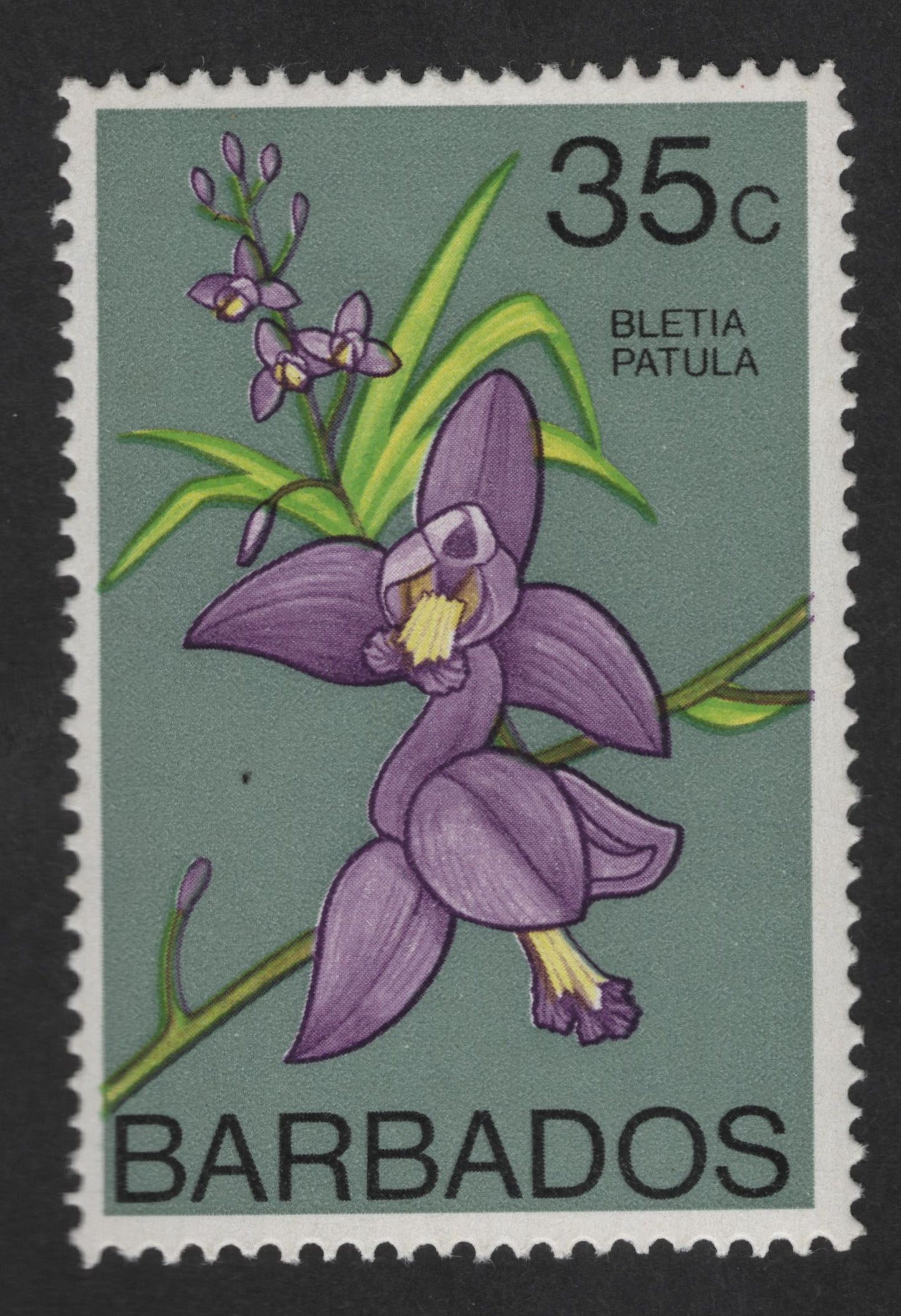 SCG12744 - Barbados 35c Bletia Patula Orchid Definitive Stamp