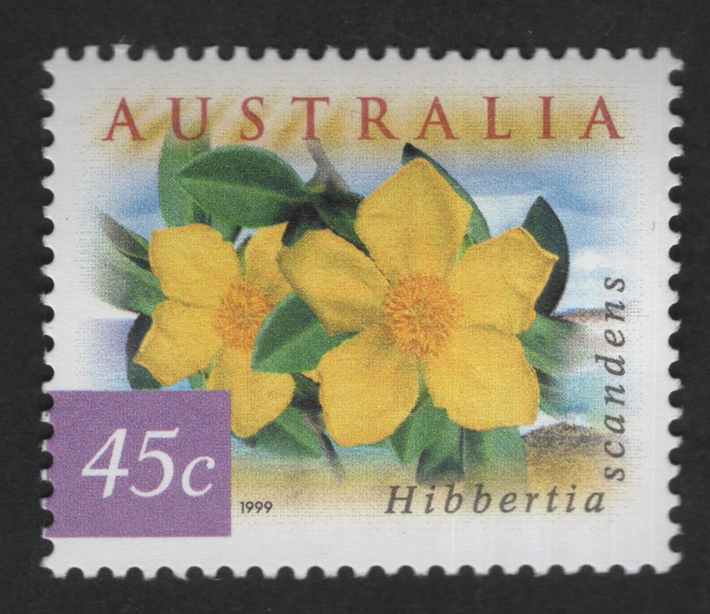 SCG12587 - Australia 1999 – Hibbertia Scandens (Golden Guinea Flower) 45c Stamp