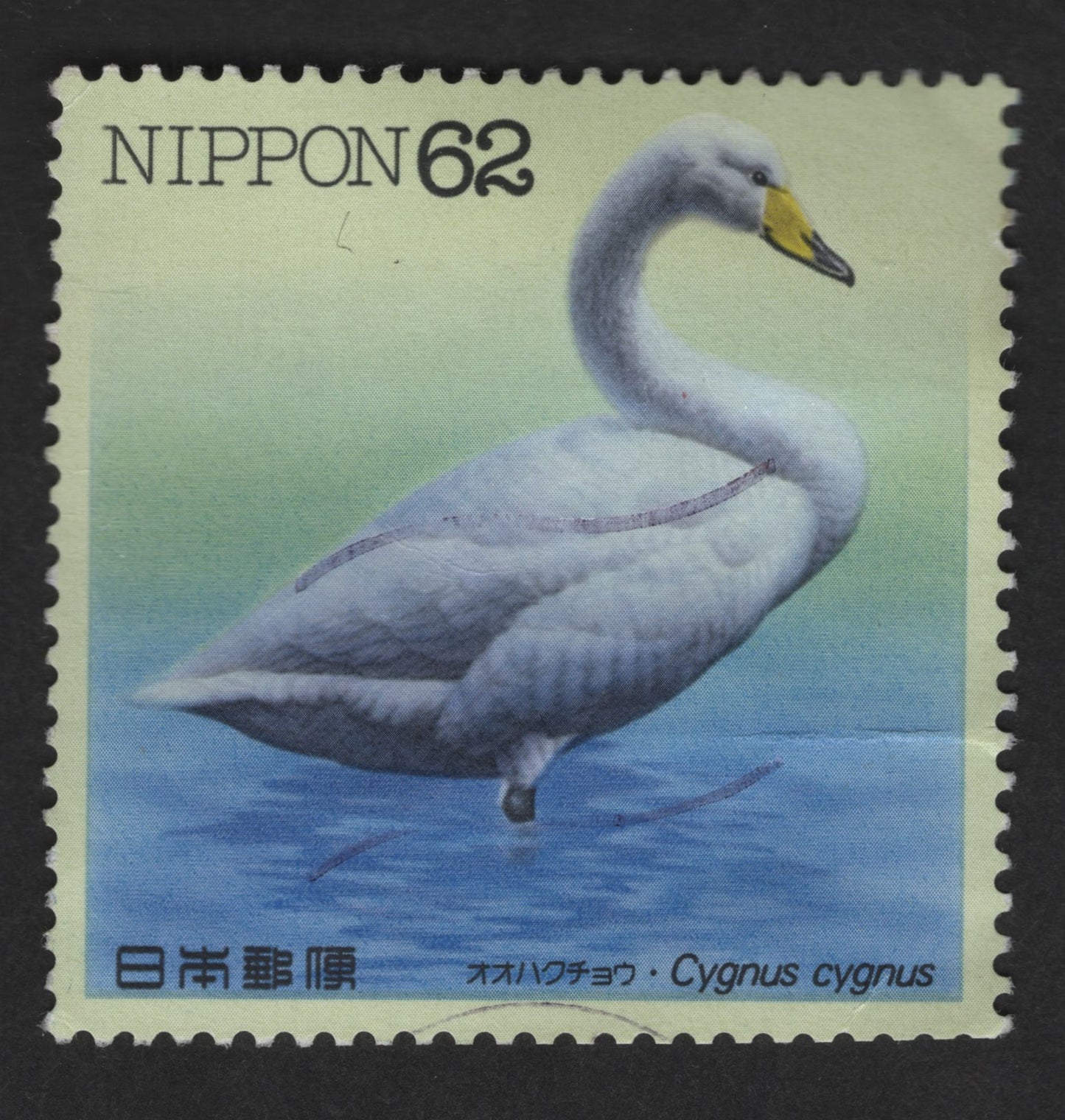 SCG12607 - Japan 62 Yen Whooper Swan (Cygnus cygnus) Wildlife Definitive Stamp