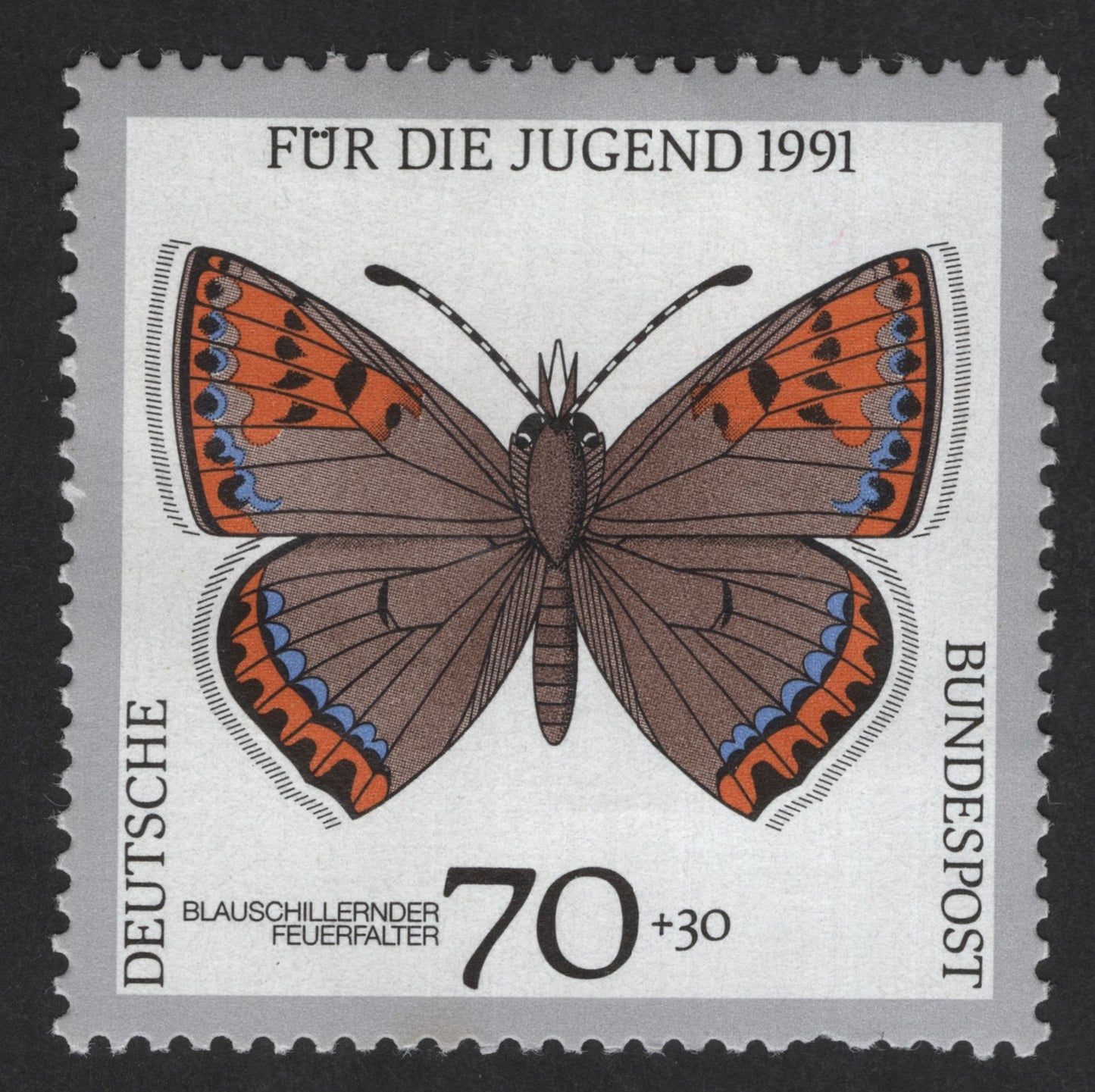 SCG12611 - Germany 1991 Für die Jugend – Blauschillernder Feuerfalter Butterfly (70+30 Pfennig)