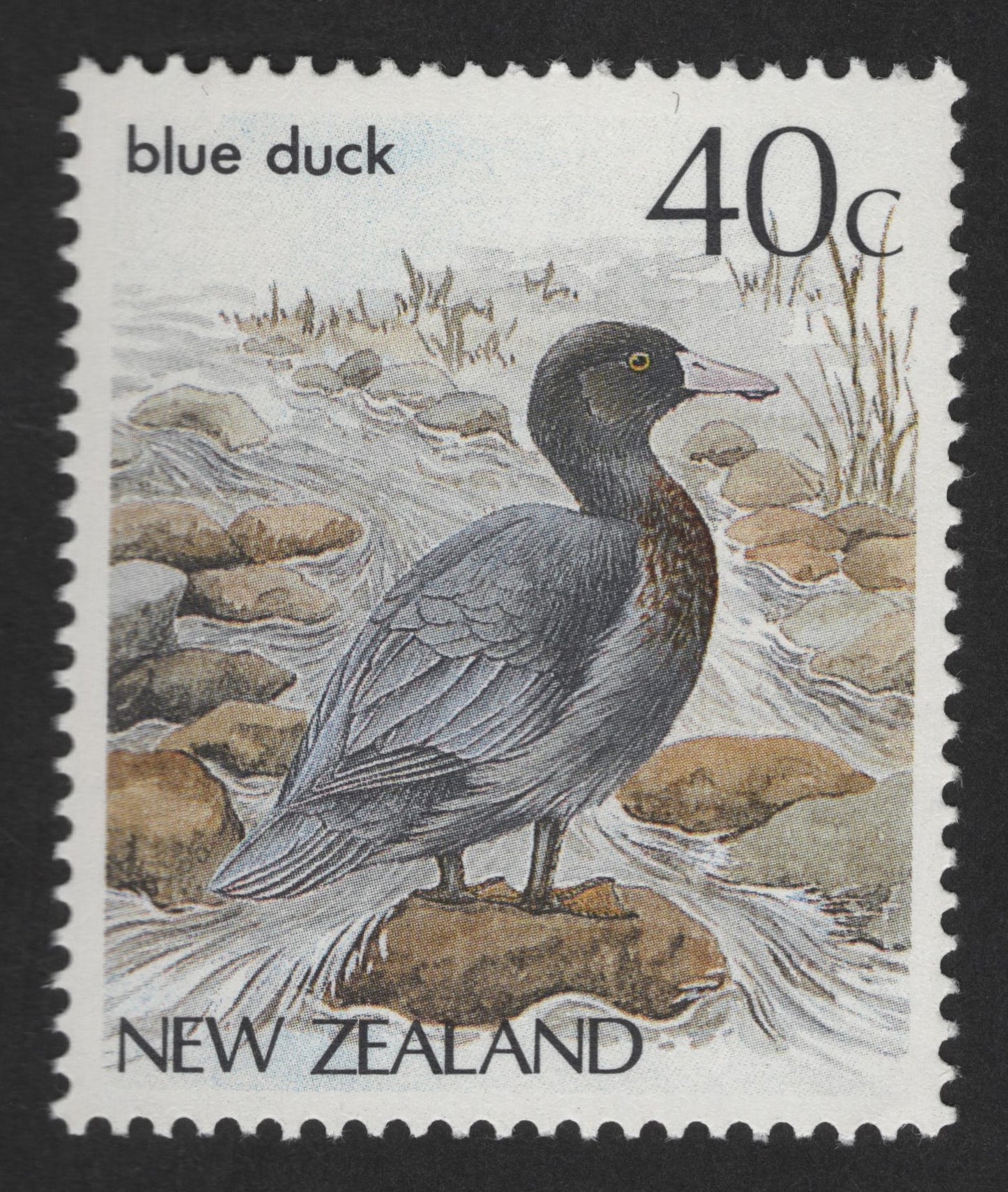 SCG12531 - New Zealand 40c Blue Duck (Whio) Wildlife Stamp