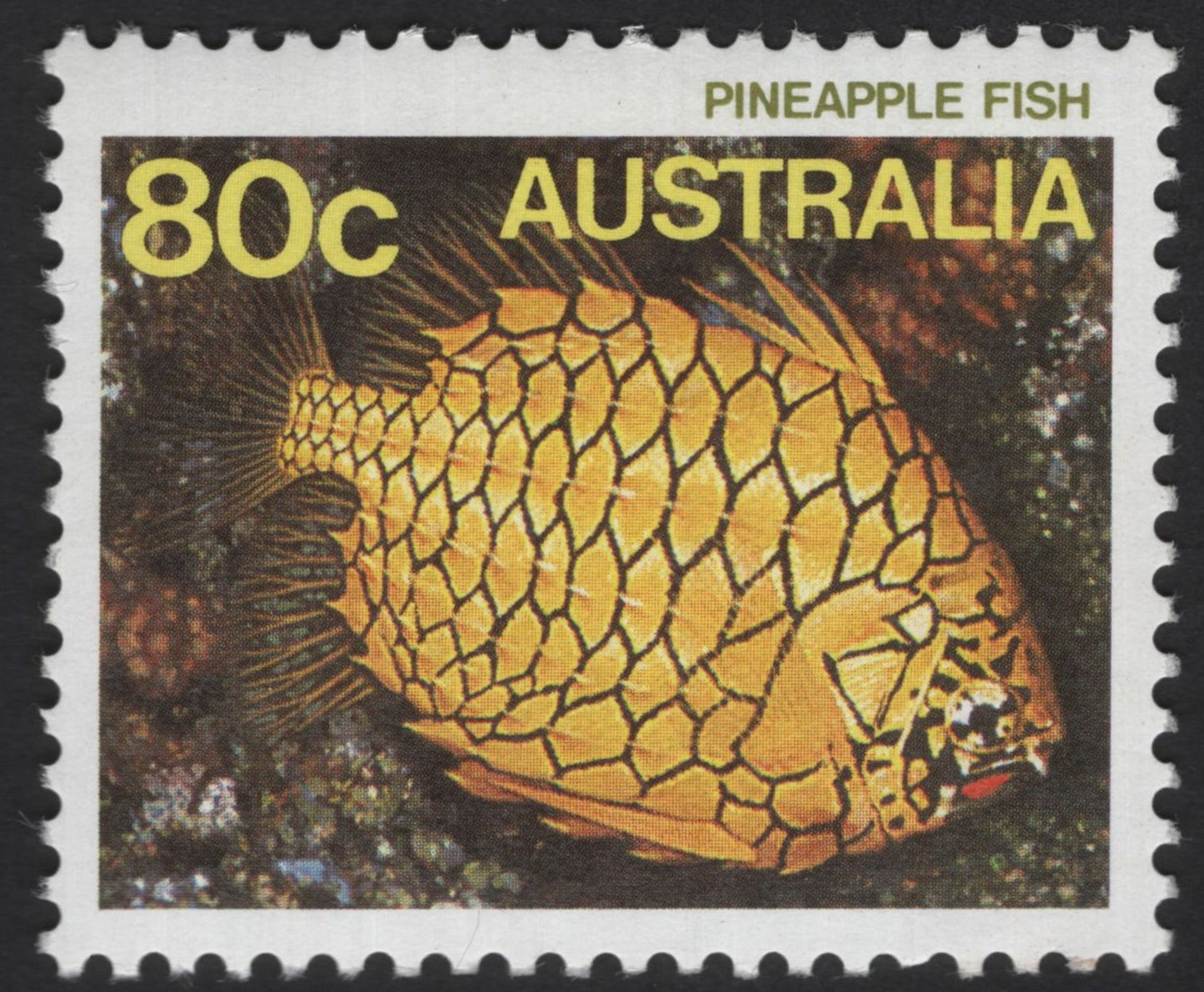 SCG12226 - Australia Marine Life Series – Textile Cone Shell, Stonefish & Pineapple Fish (Australia)