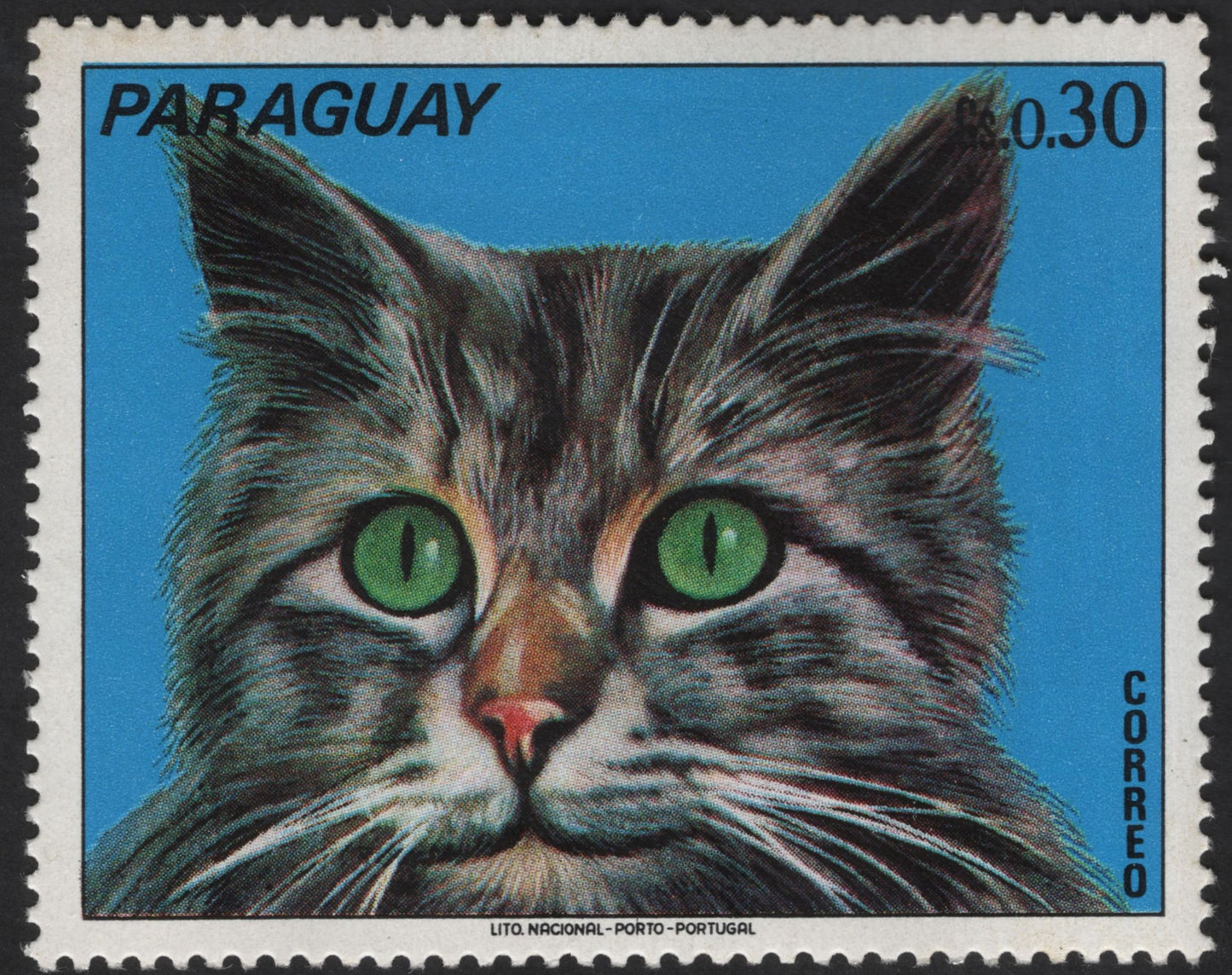 SCG12318 - Paraguay 1970s Kittens Series – Domestic Cat Portrait Set