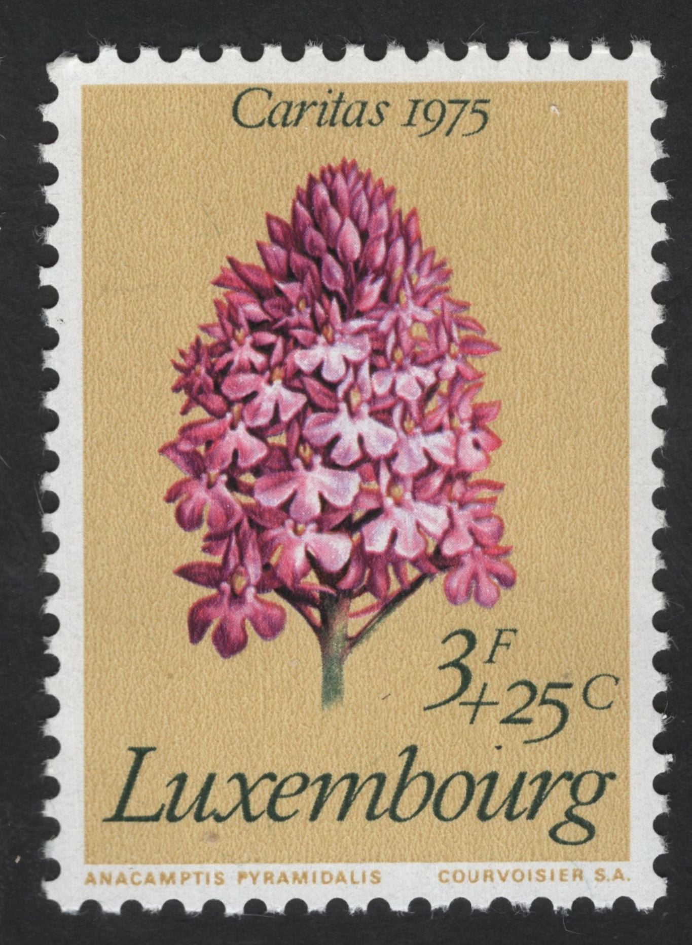 SCG12330 - Luxembourg – Caritas Wildflowers Collection (1975–1977)