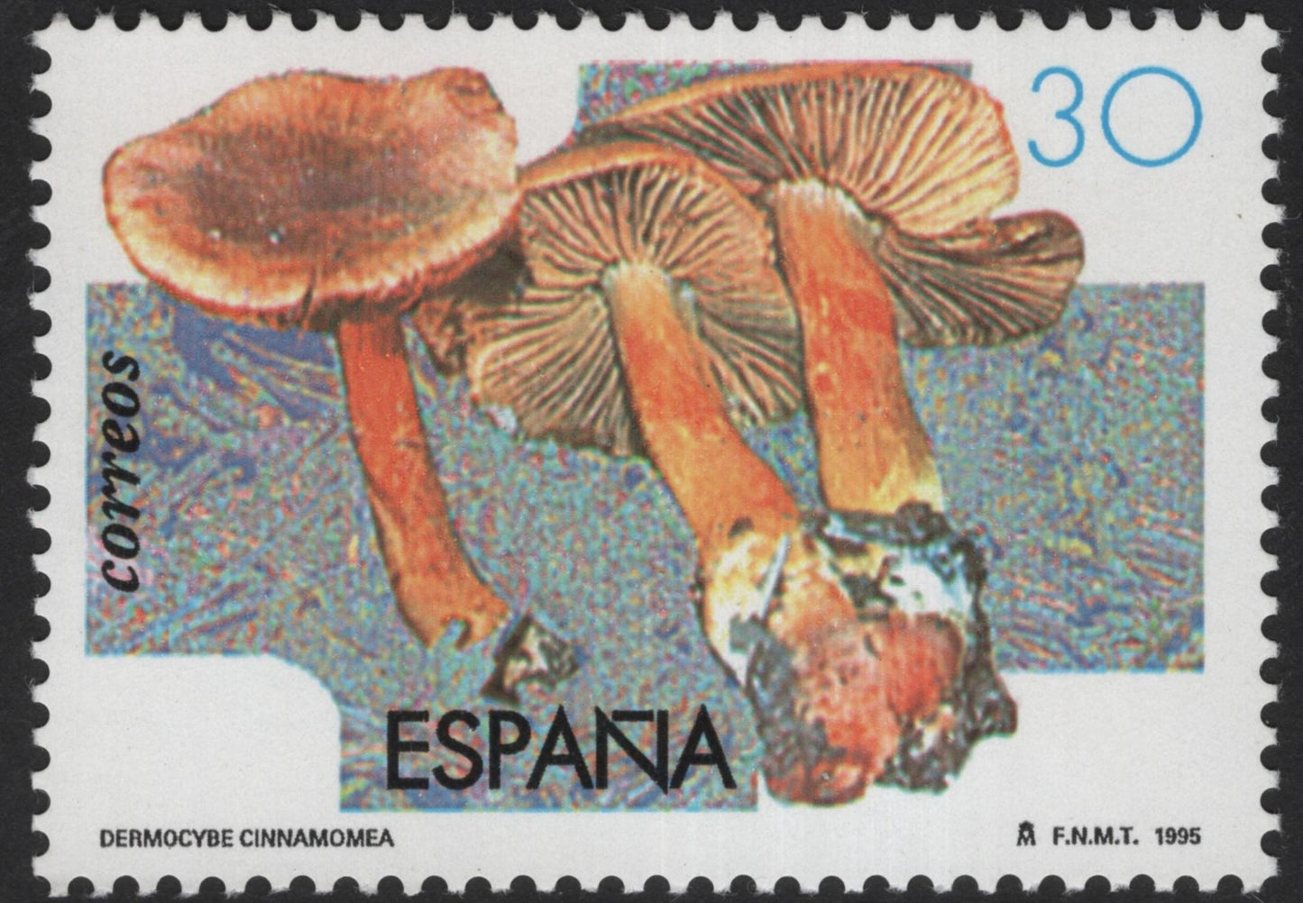 SCG12163 - Spain 1995 Wild Mushrooms – Coprinus comatus & Dermocybe cinnamomea