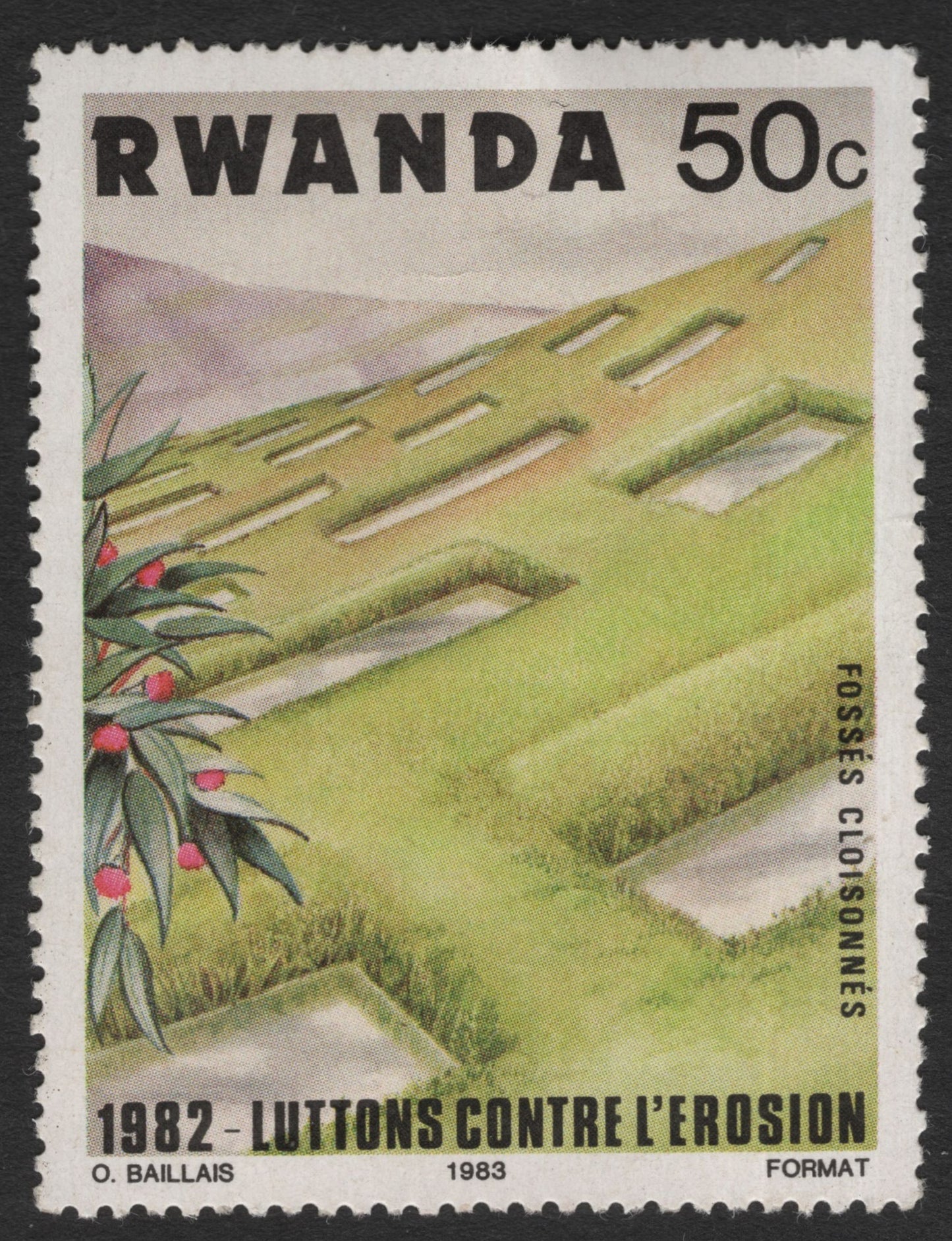SCG11568 - Rwanda – 50c Anti-Erosion Terracing (1982 Agricultural Conservation Issue)