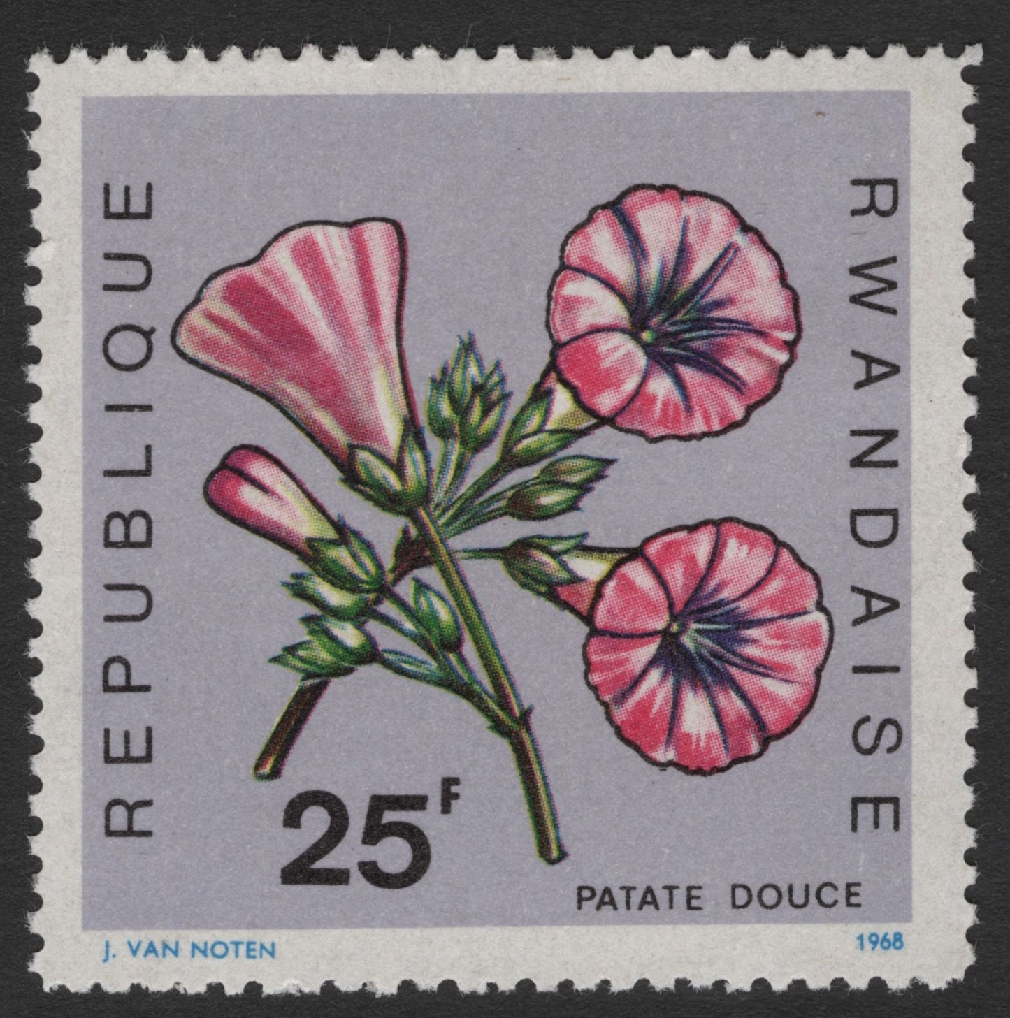 SCG11594 - Rwanda 1968 – Patate Douce (Sweet Potato Flower) – 25F Botanical Issue