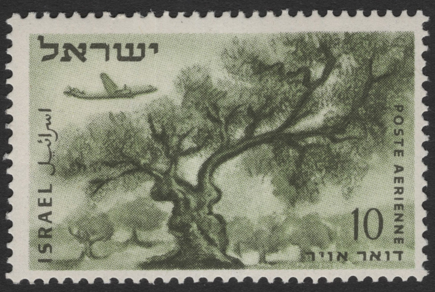 SCG11595 - Israel – Olive Tree & Aircraft Airmail, 10 Dinar