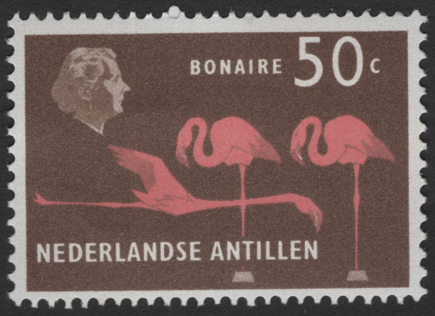 SCG11604 - Bonaire Flamingos – 50c Wildlife Issue (Netherlands Antilles)