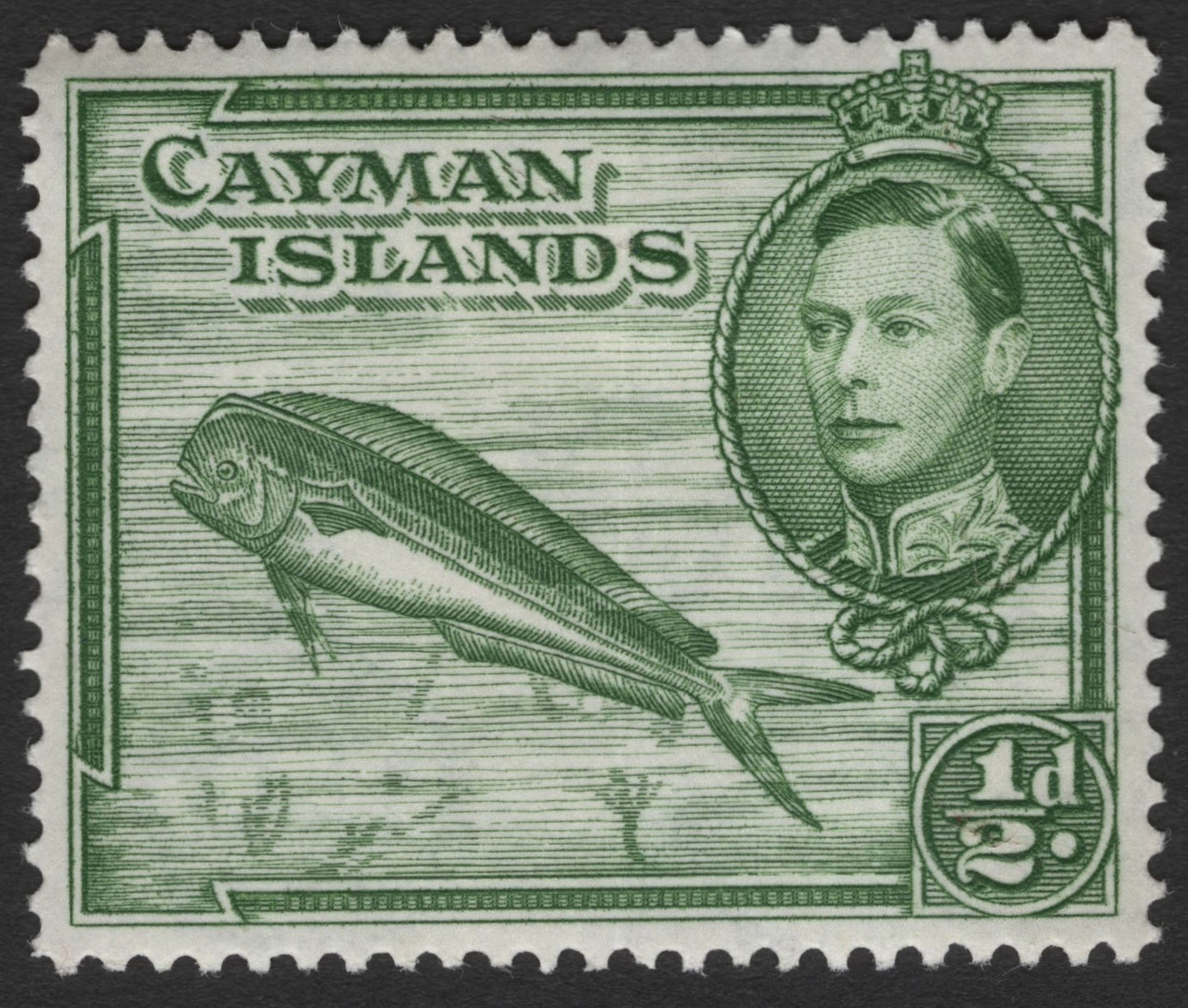 SCG11393 - Flying Fish & King George VI – 1½d Green Definitive