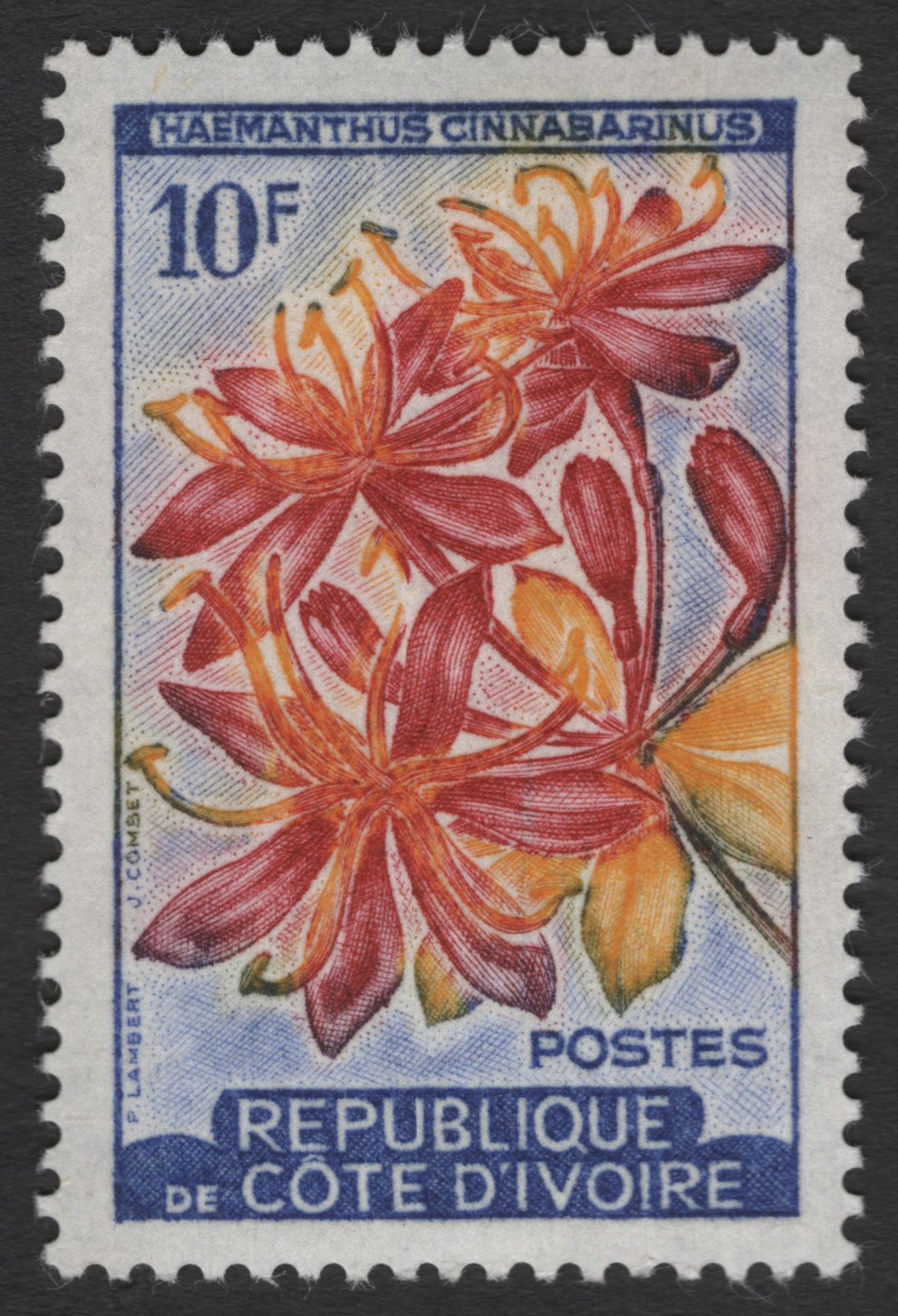 SCG11489 - Haemanthus Cinnabarinus – Botanical Flower 10F Stamp