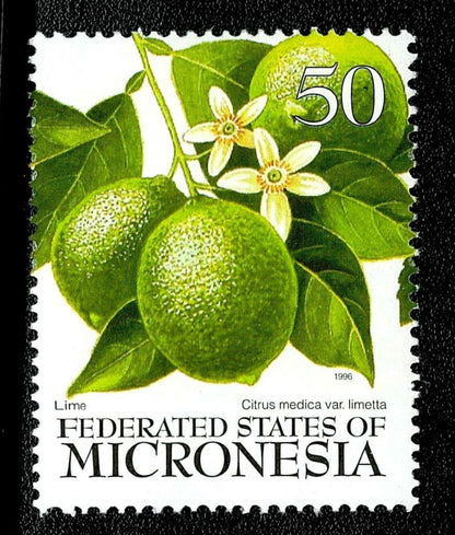 SCG135 Micronesia Citrus Fruit Stamps Set – Lime, Orange & Lemon (50c) 1996
