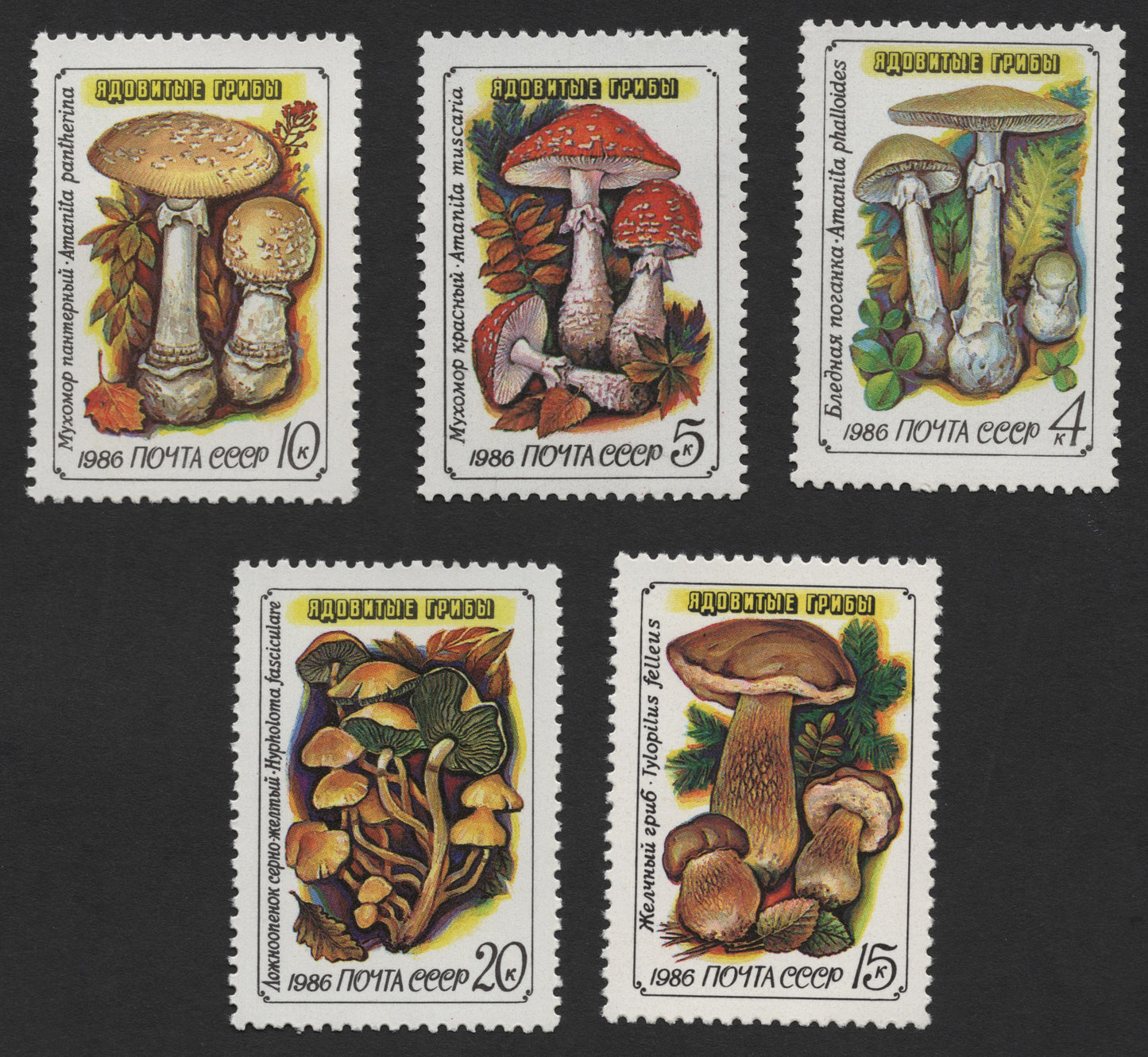 SCG367 -  USSR 1986 Poisonous Mushrooms Stamp Set