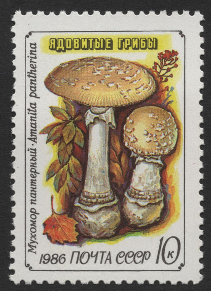 SCG367 -  USSR 1986 Poisonous Mushrooms Stamp Set