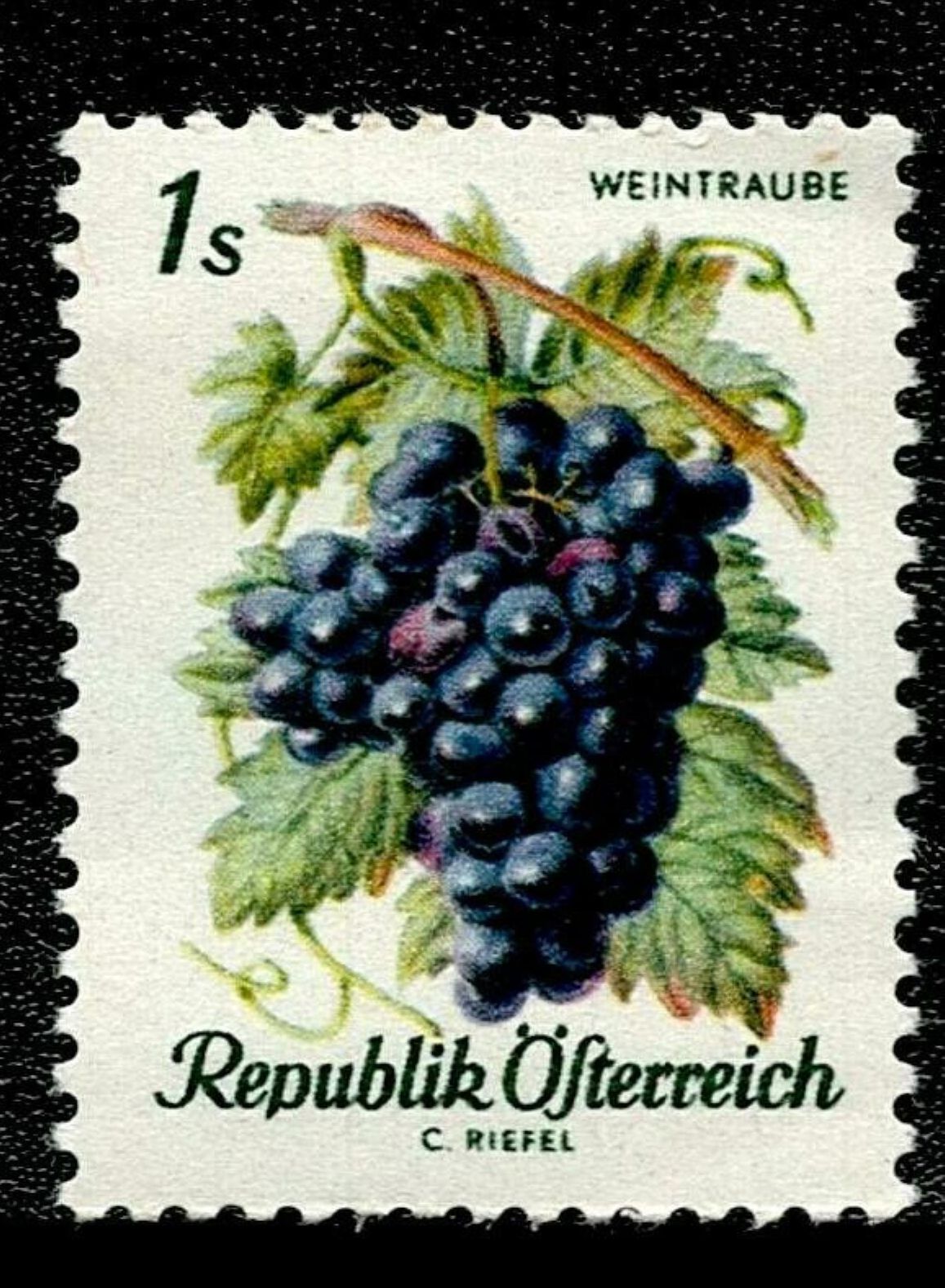 SCG131 Austria Fruit Series Stamps – Strawberries, Apple, Grapes, Cherries & Apricots – Republik Österreich