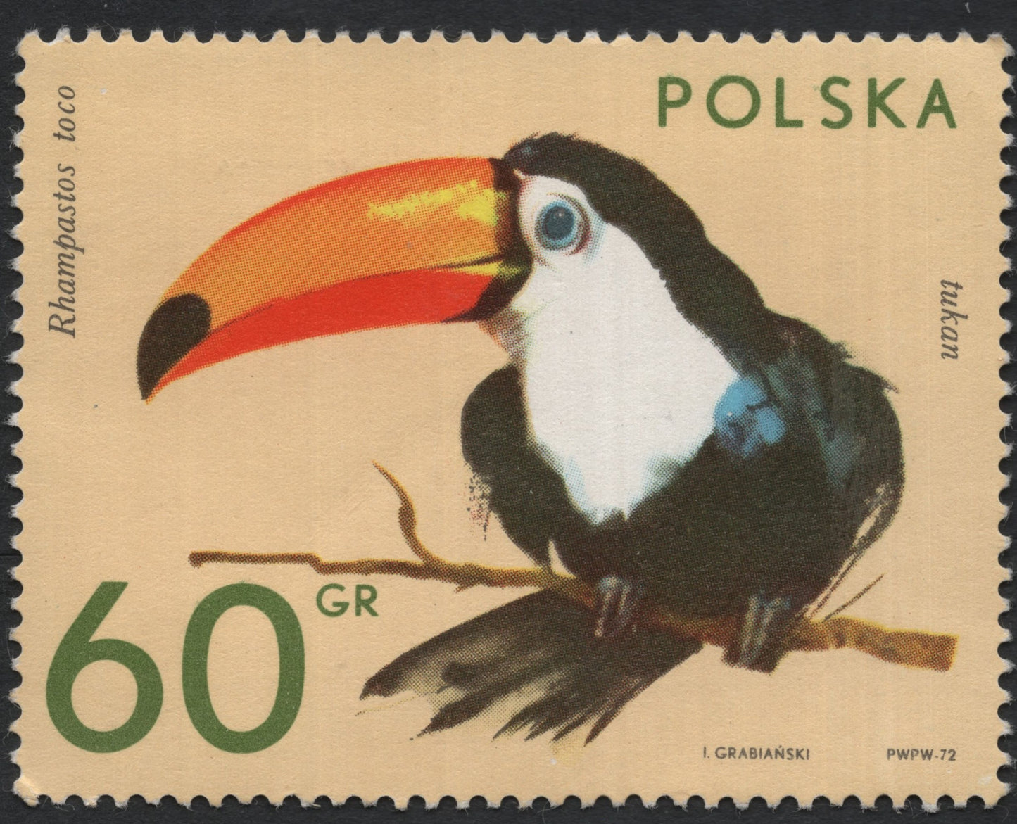 SCG7701 - Poland 1972 – Toco Toucan (Rhamphastos toco)