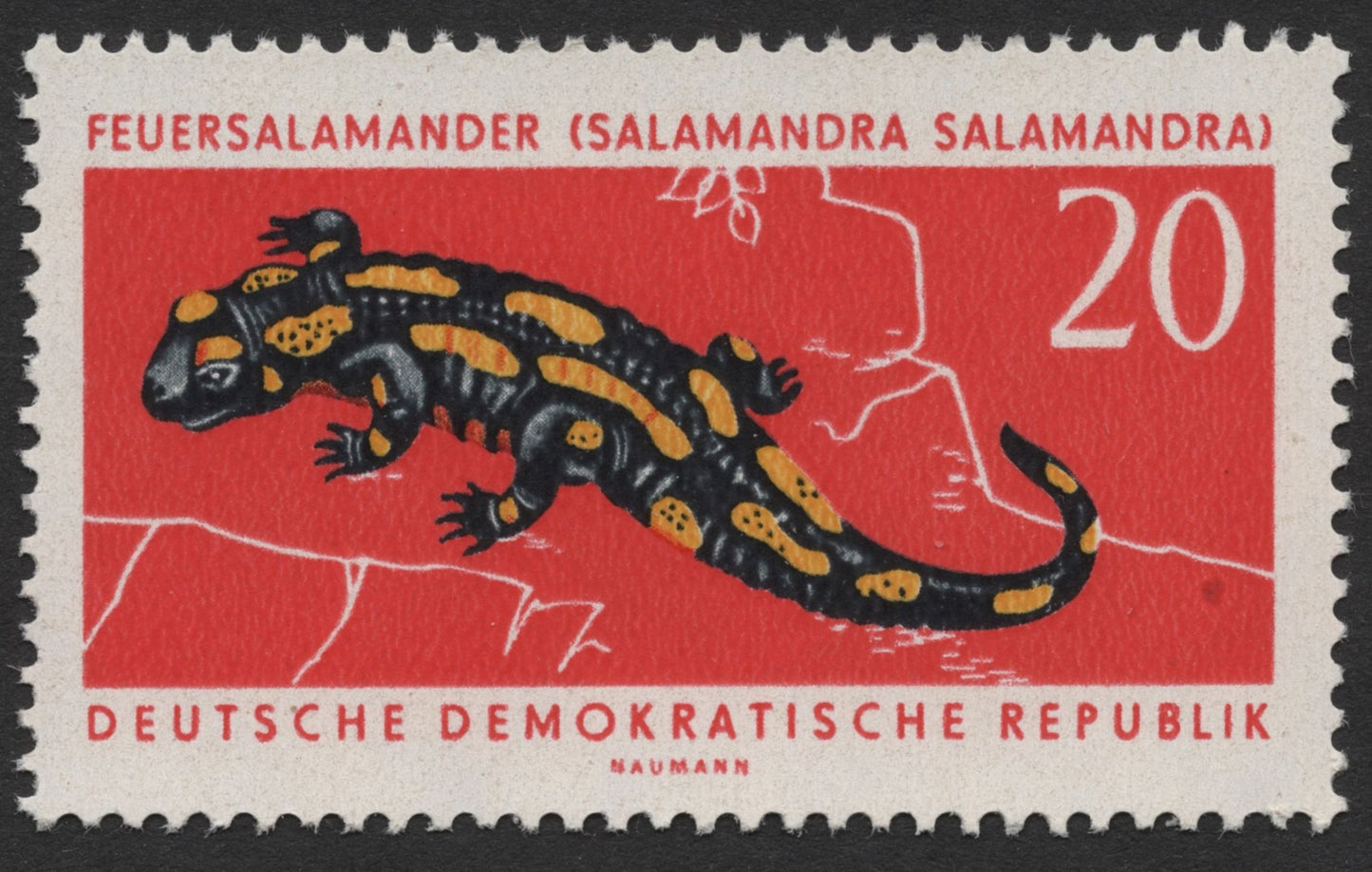 SCG322 - East Germany 20 Pf – Fire Salamander (Salamandra salamandra) Stamp