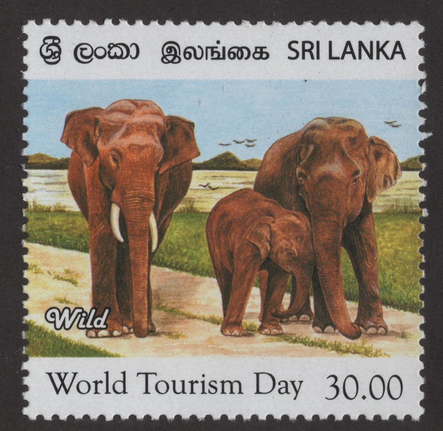 SCG151 Sri Lanka – World Tourism Day Stamp Set