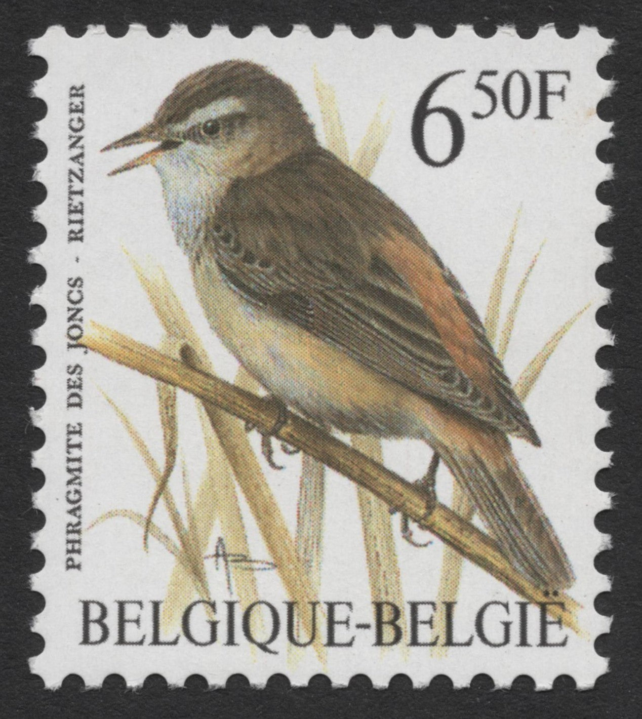 SCG349 - Belgium Songbirds Series – Eurasian Jay & Sedge Warbler (50F Issues) (MNH)