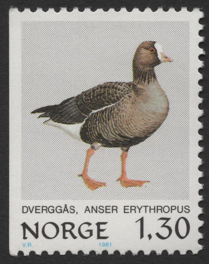 SCG345 - Norway 1981 Bird Series – Complete Set of 4 (MNH)