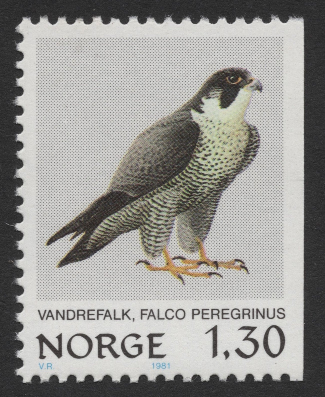SCG345 - Norway 1981 Bird Series – Complete Set of 4 (MNH)